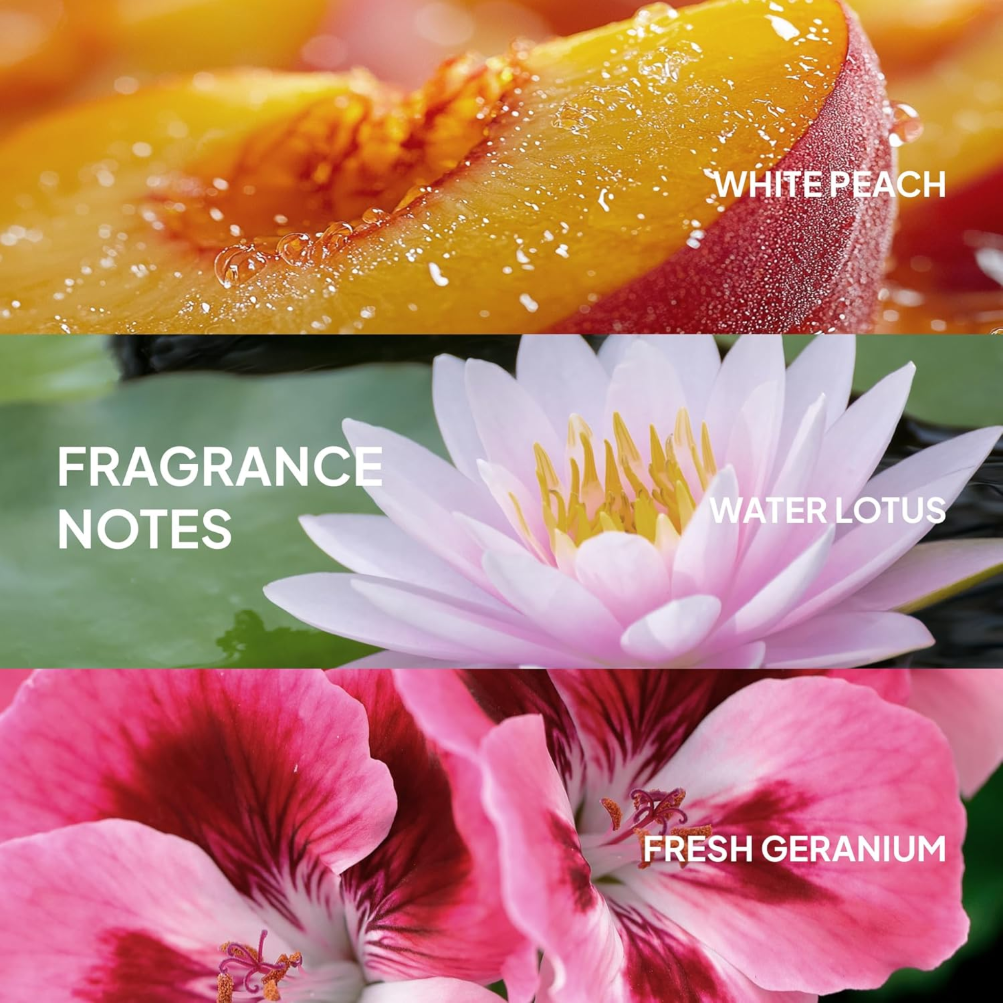 Verb. Shampoing Sec en Poudre - 45 g
