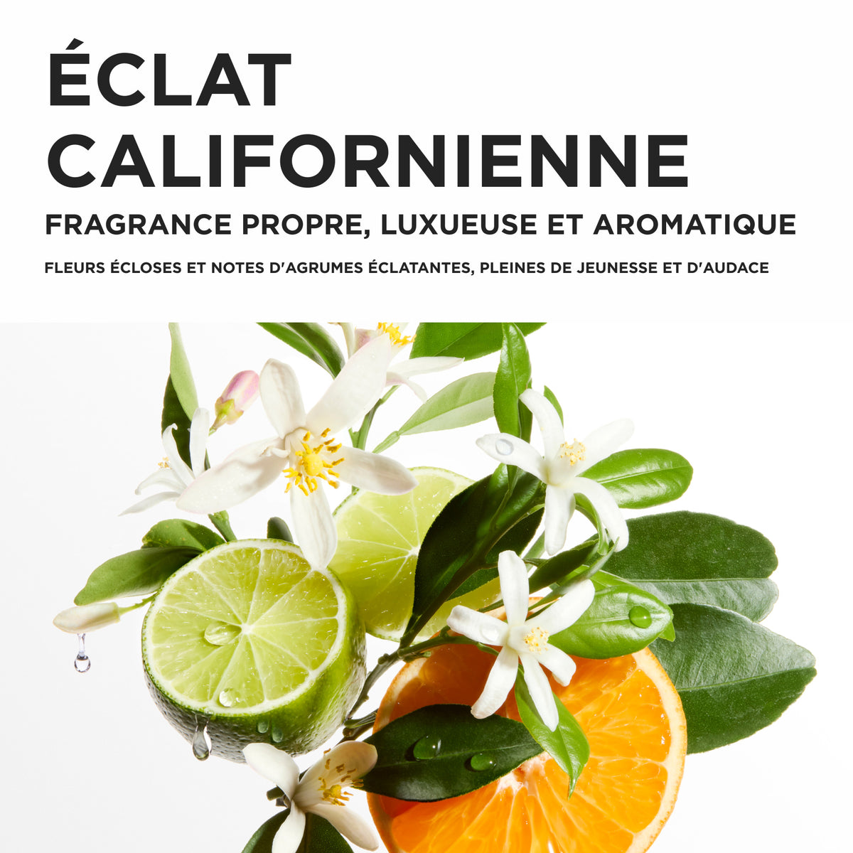 Kérastase. Discovery Set - Blond Absolu