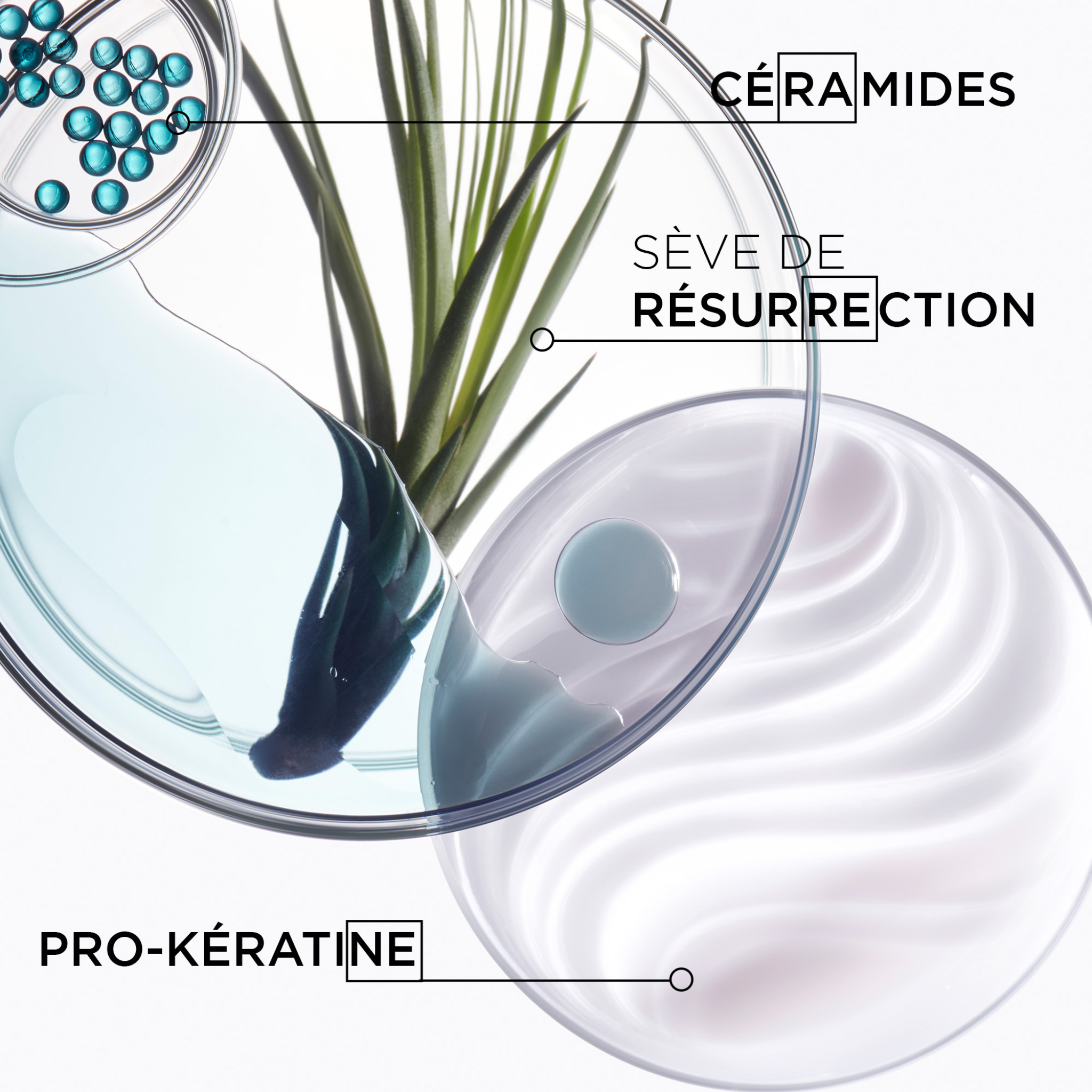 Kerastase. Resistance Masque Force Architecte Hair Mask - 75 ml