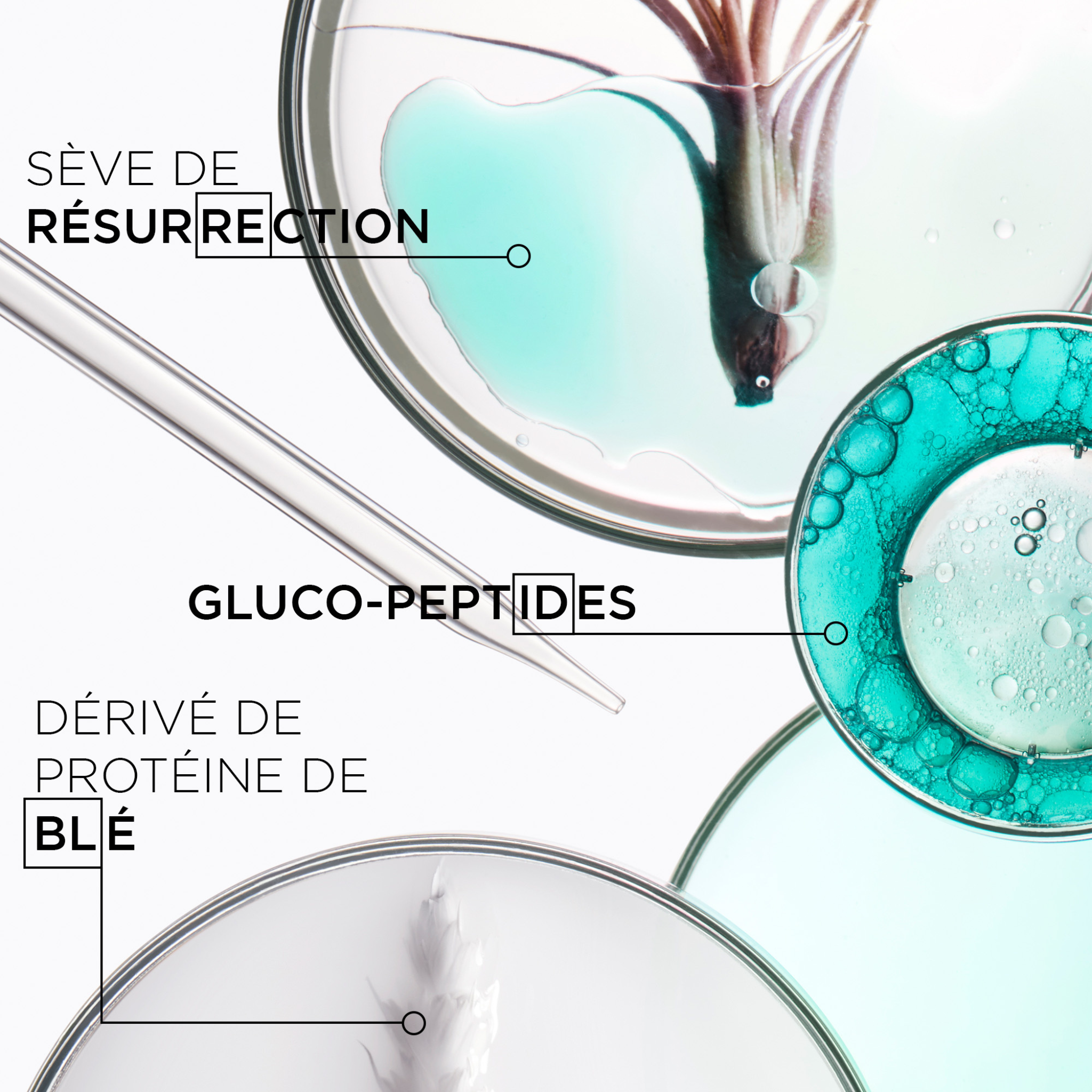 Kérastase. Résistance Bain Force Architecte - Duo Recharge Et Bouteille 500 ml