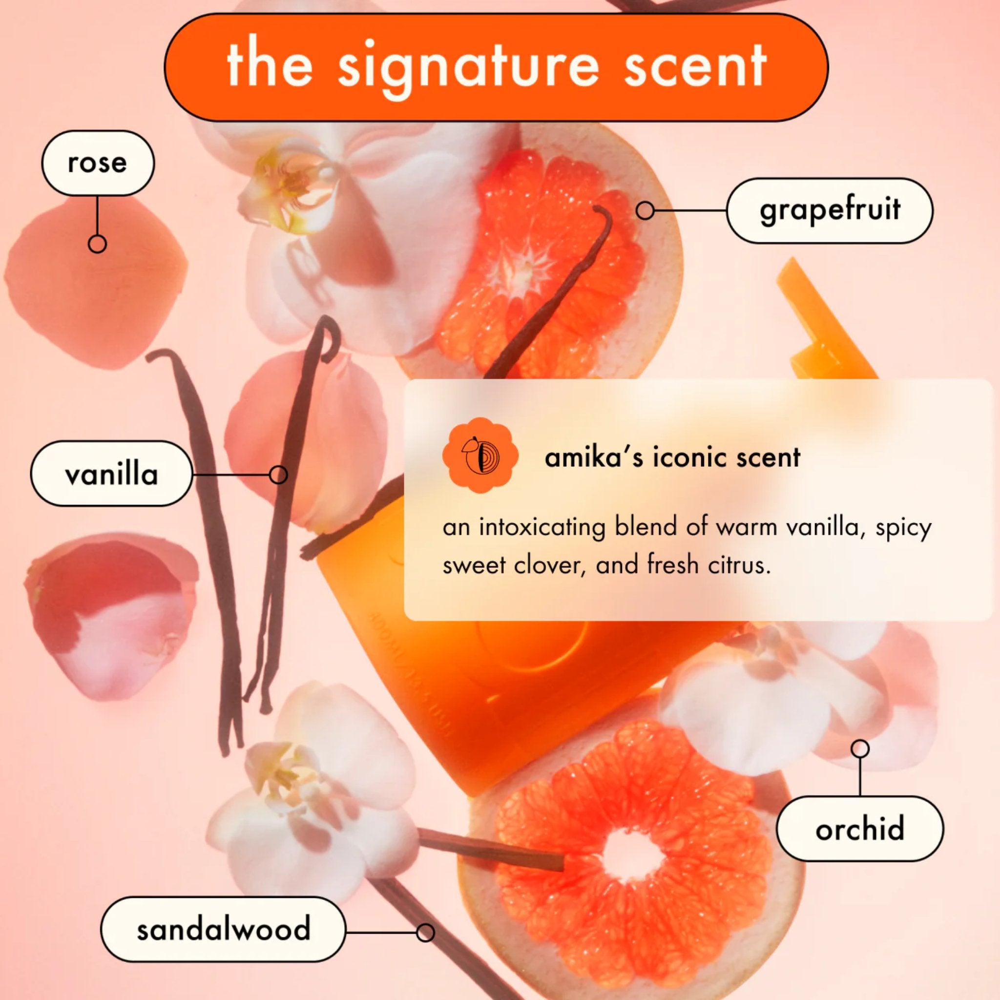 Amika. Primer Démêlant The Wizard - 30 ml - Concept C. Shop