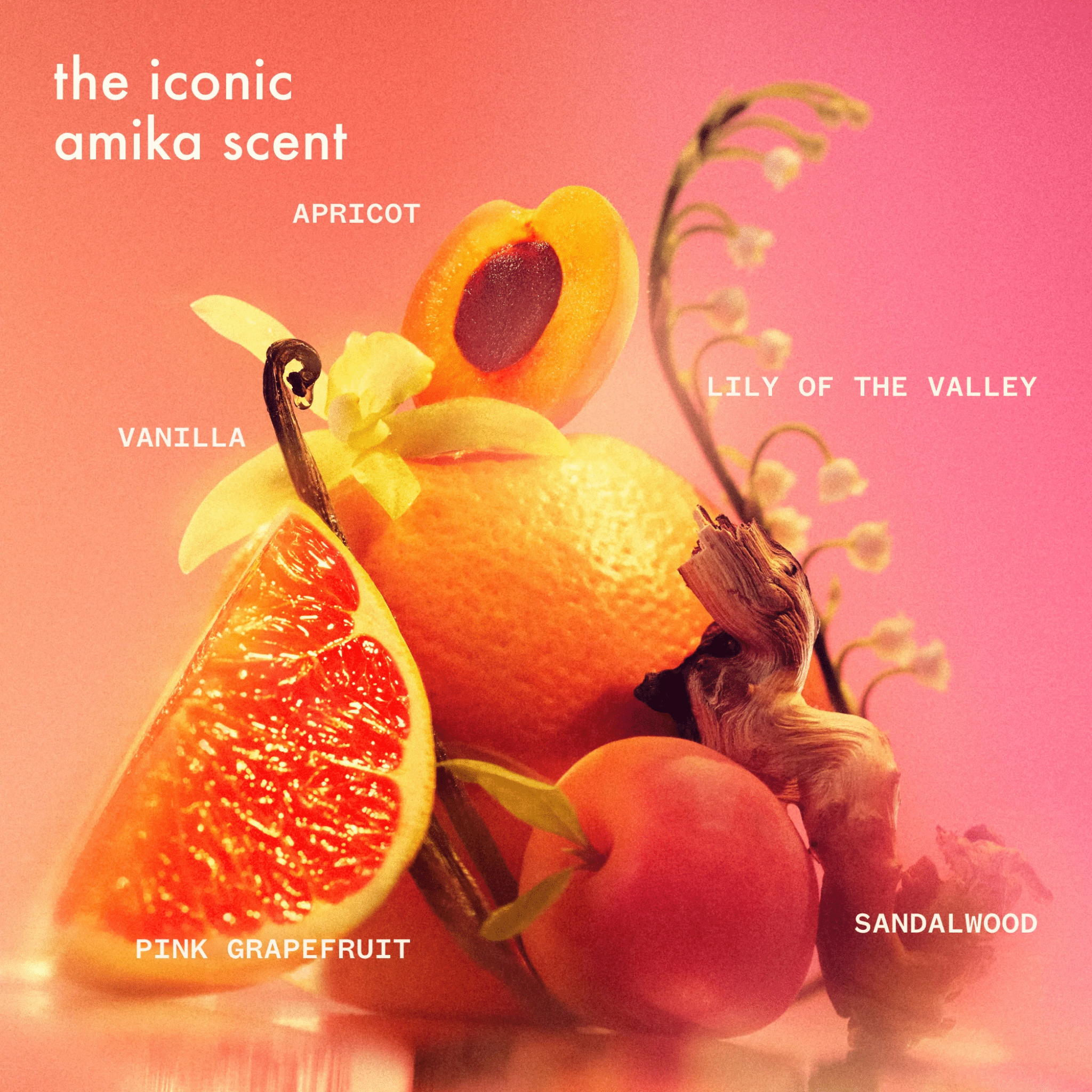 Amika. Soin de Nuit Hydratation Dream Routine - 100 ml - Concept C. Shop