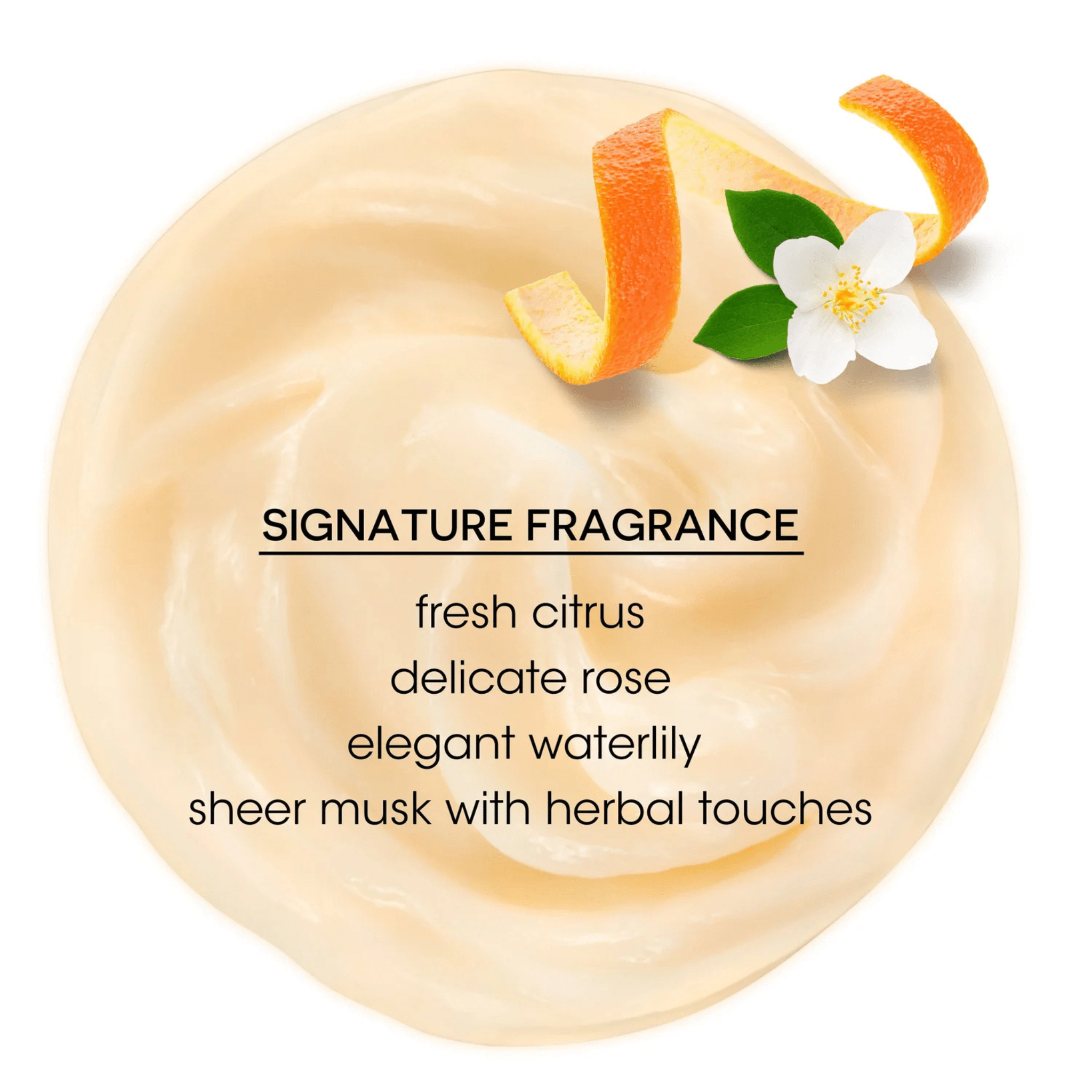 Bain De Terre. Revitalisant Renforçant Protecteur De Couleur Phytoprotéine De Kératine - 400 ml - Concept C. Shop