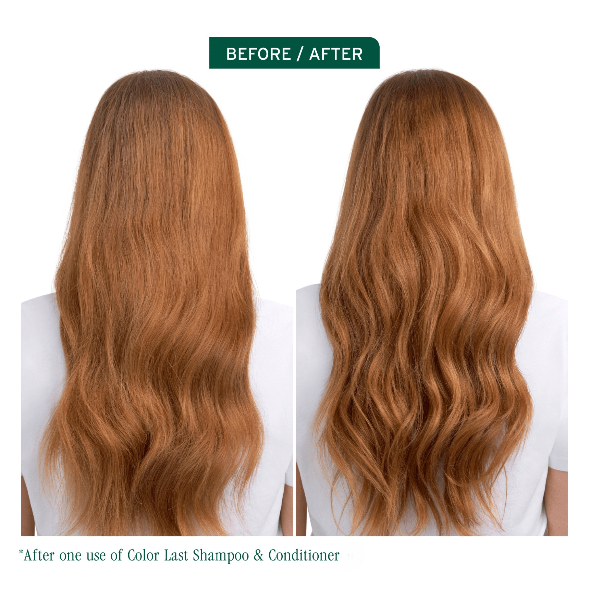Biolage. Revitalisant Color Last - 1000 ml - Concept C. Shop