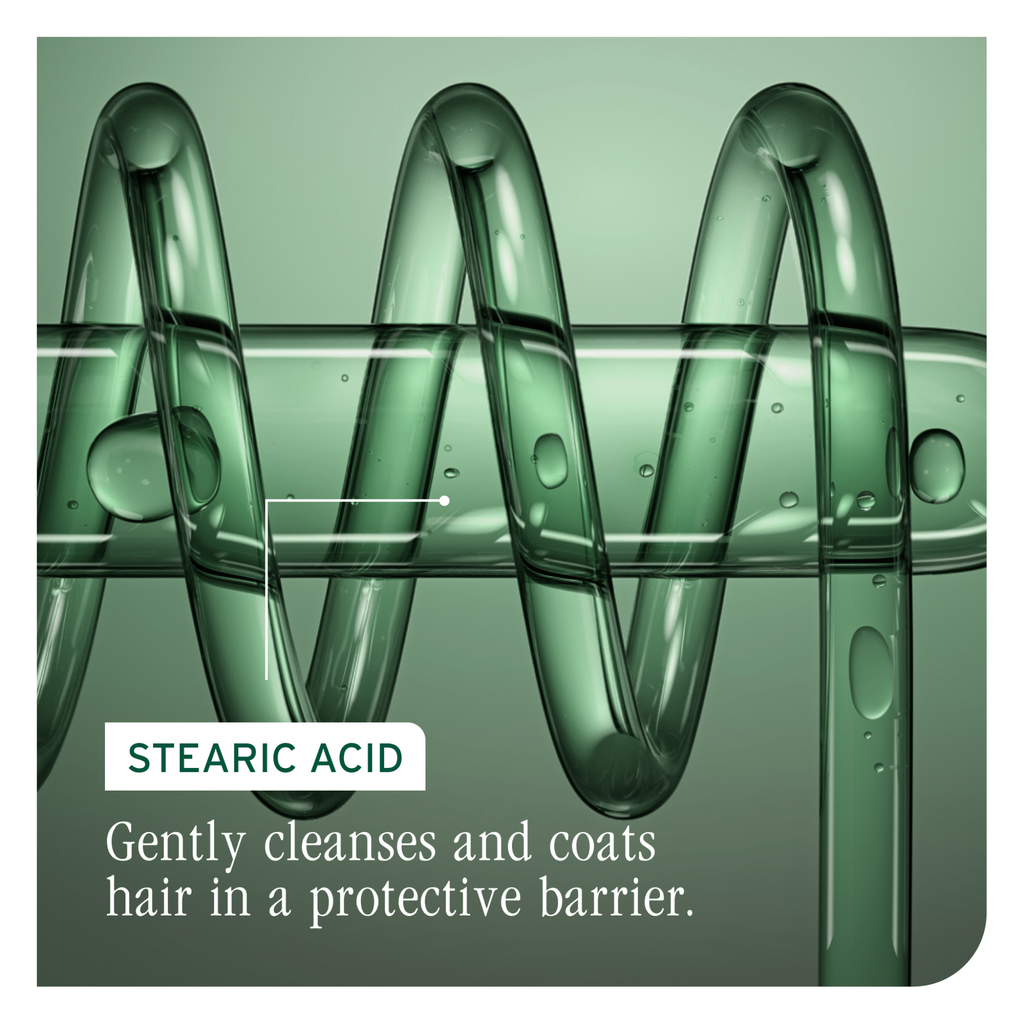 Biolage. Revitalisant Color Last - 1000 ml - Concept C. Shop