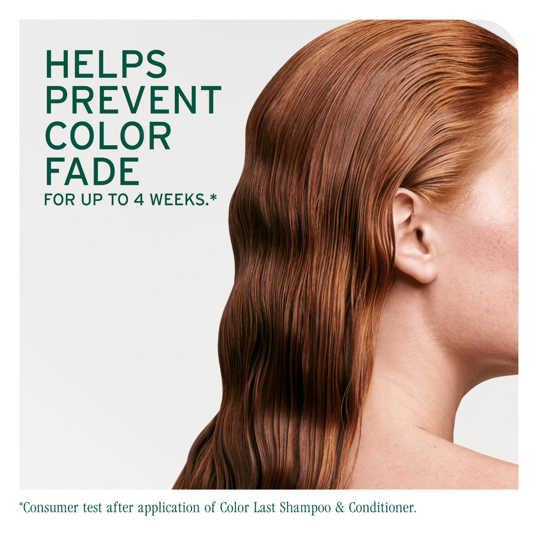 Biolage. Revitalisant Color Last - 1000 ml - Concept C. Shop