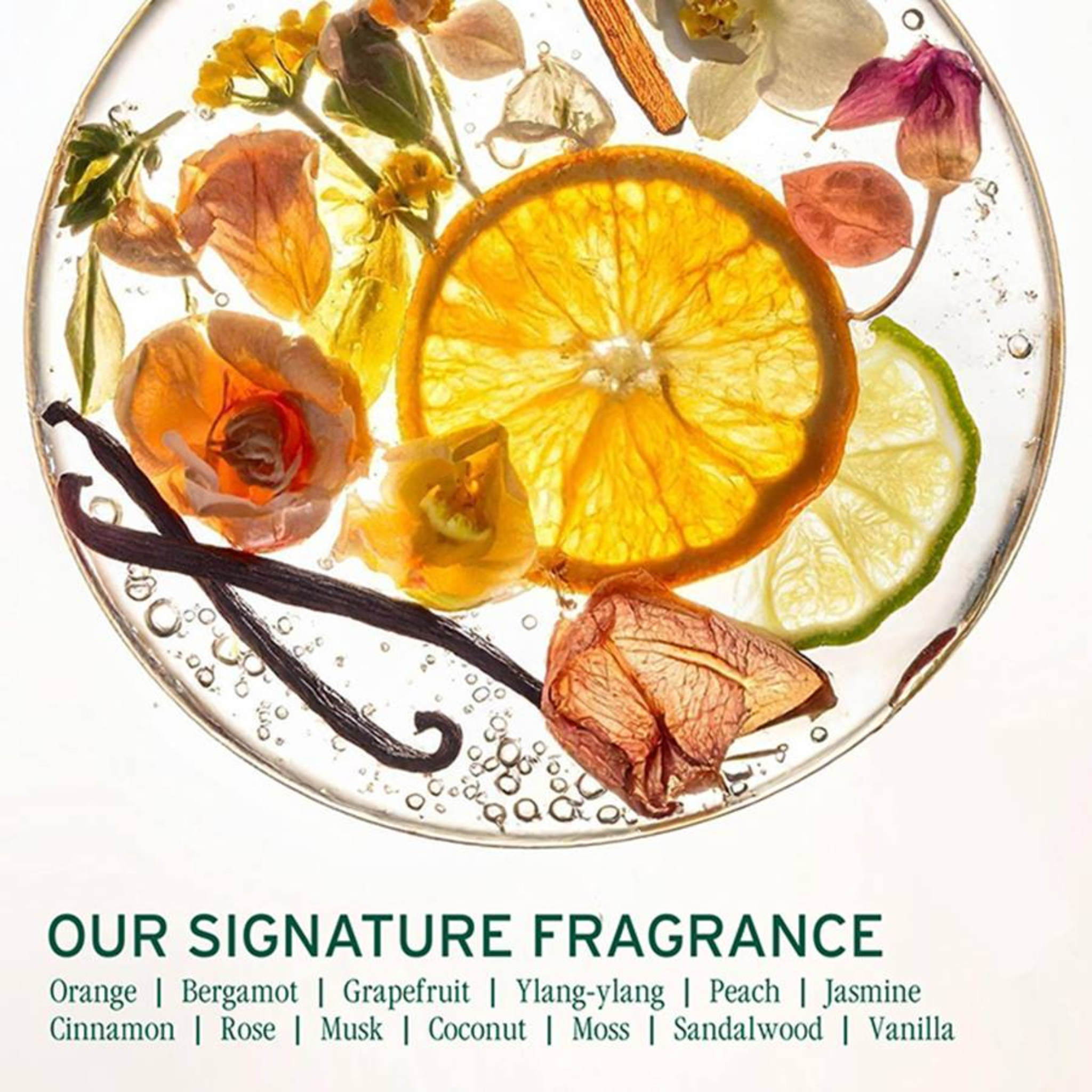 Biolage. Sérum Hydratant Cheveux Et Cuir Chevelu Moisture Method Hydra Source - 90 ml - Concept C. Shop