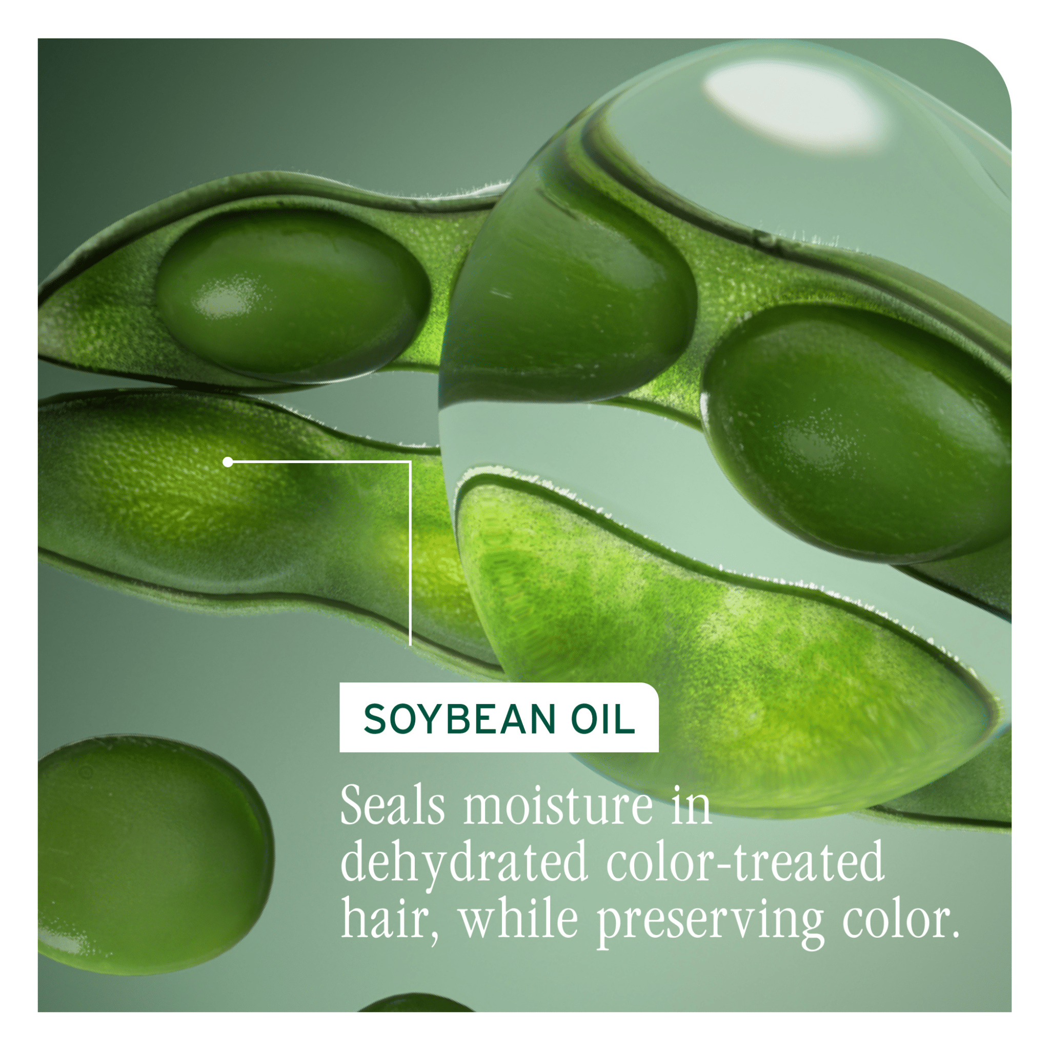 Biolage. Shampoing Color Last - 1000 ml - Concept C. Shop