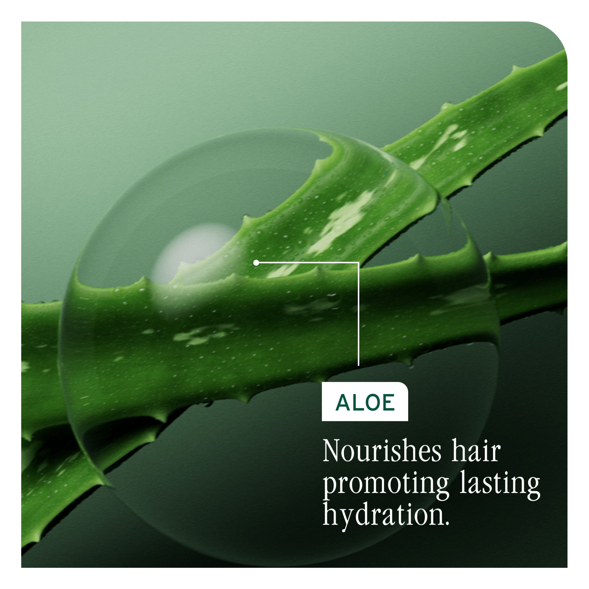 Biolage. Shampoing Hydra Source - 400 ml - Concept C. Shop