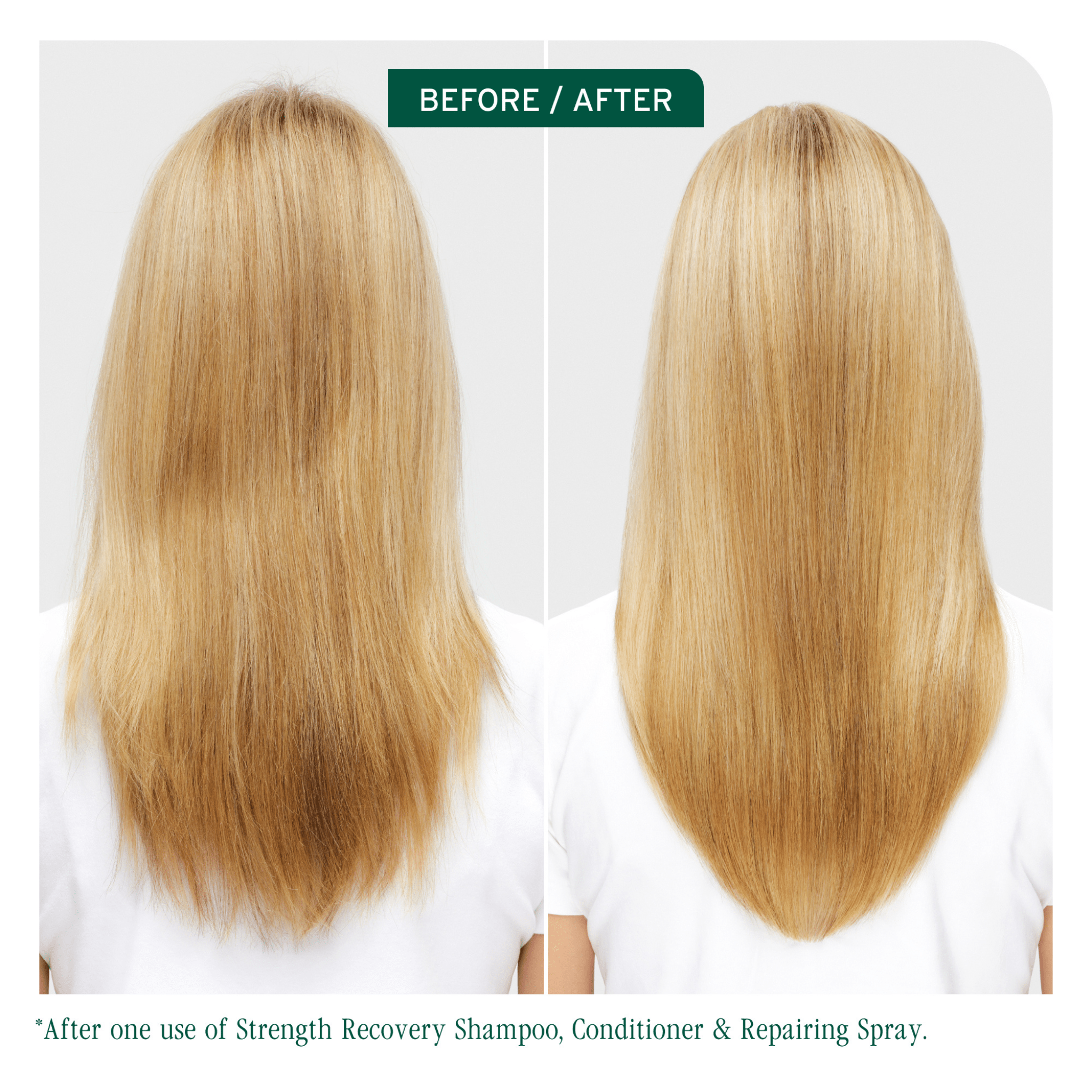 Biolage. Shampoing Strength Recovery - 1000 ml - Concept C. Shop