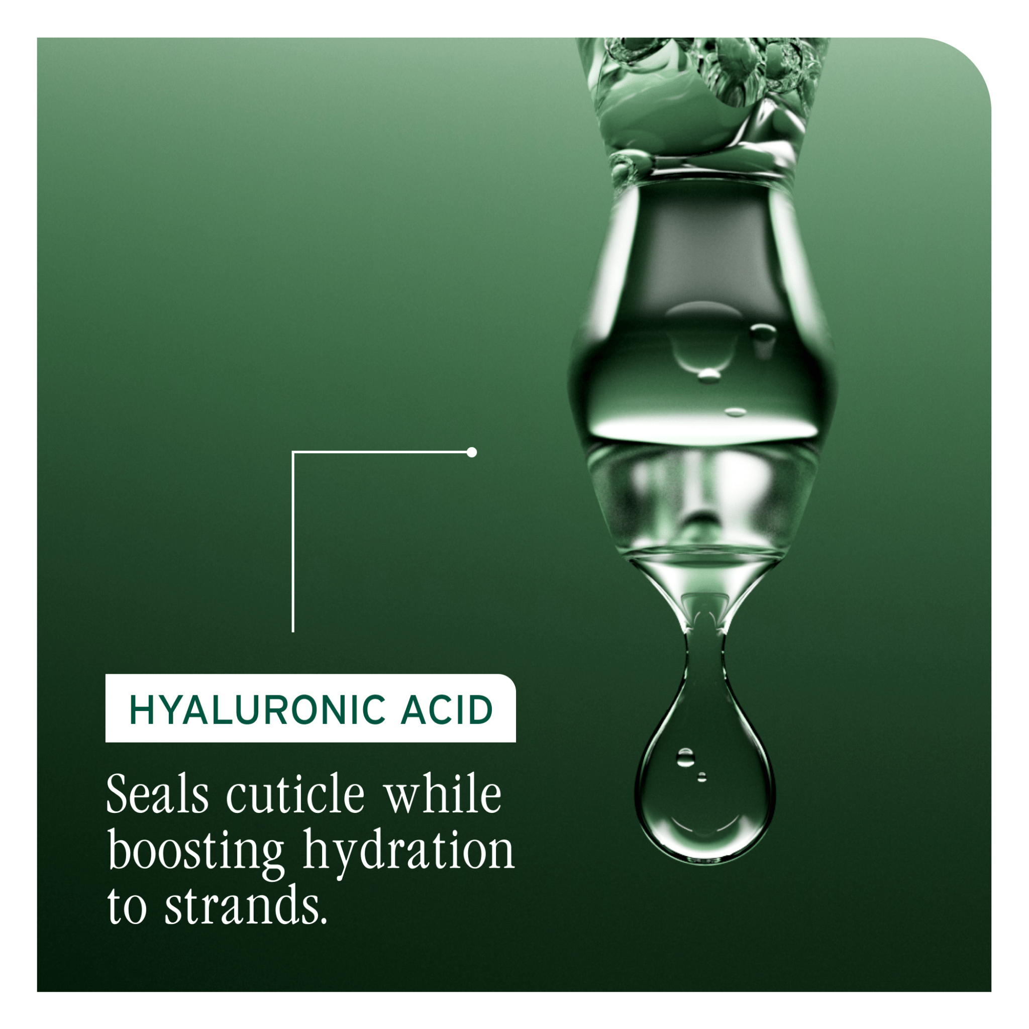 Biolage. Soin Sans - Rinçage Quotidien Hydra Source - 400 ml - Concept C. Shop