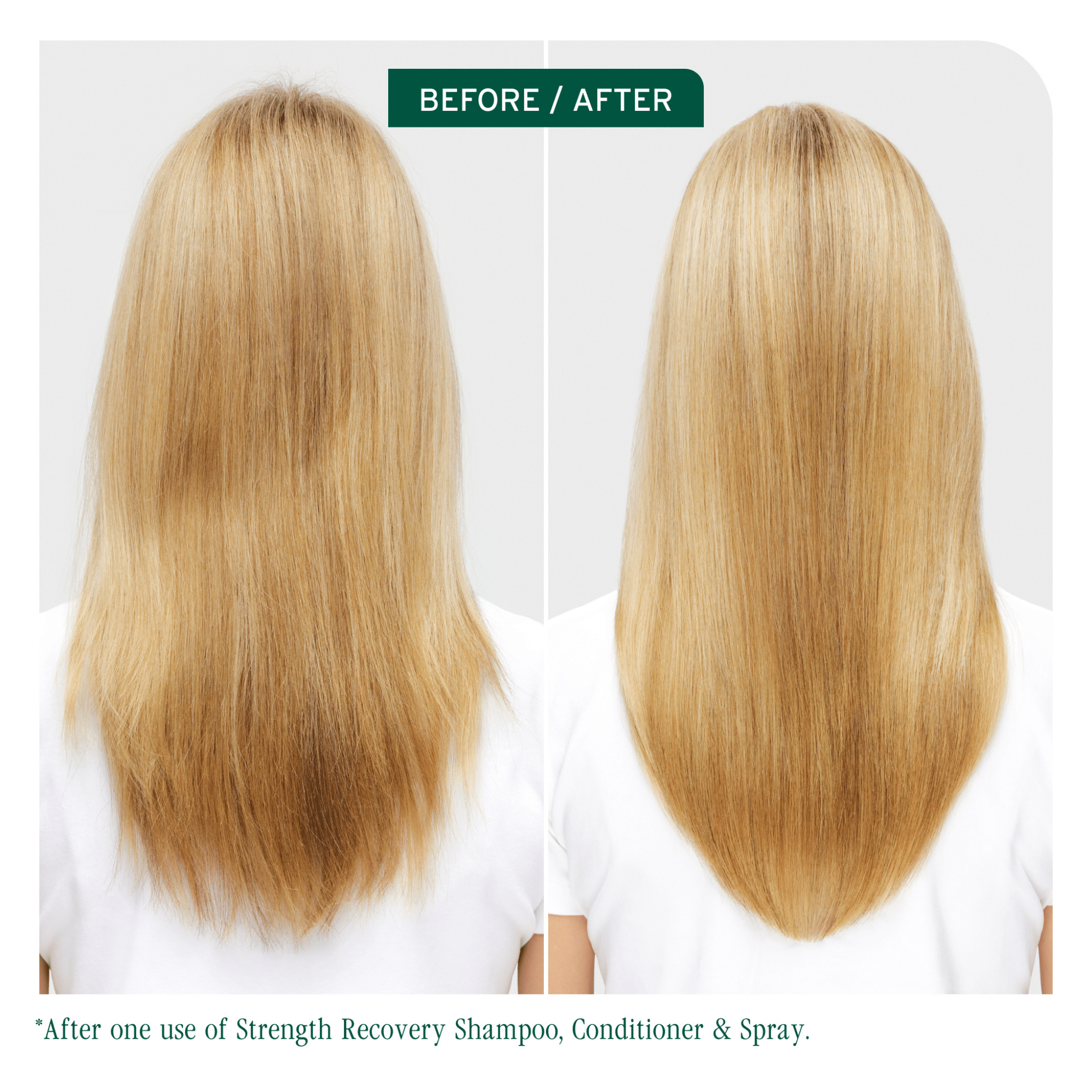 Biolage. Spray Réparateur De Force Strength Recovery - 250 ml - Concept C. Shop