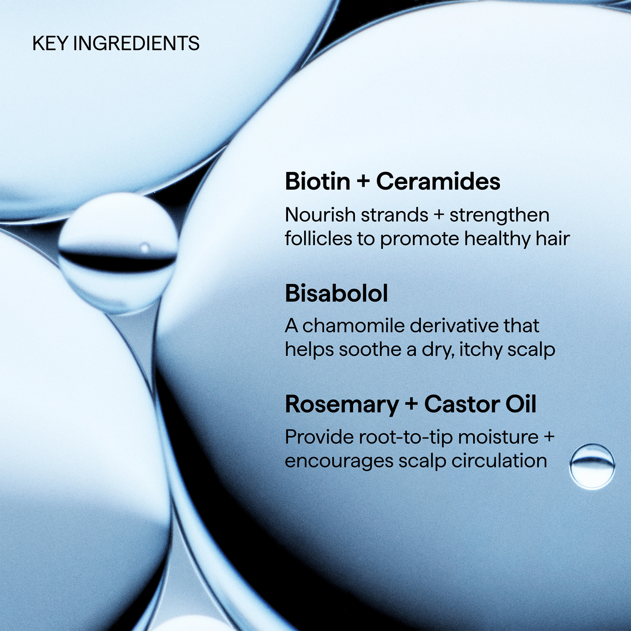 Briogeo. Huile Pré - Shampoing au Romarin Scalp Revival - 30 ml - Concept C. Shop