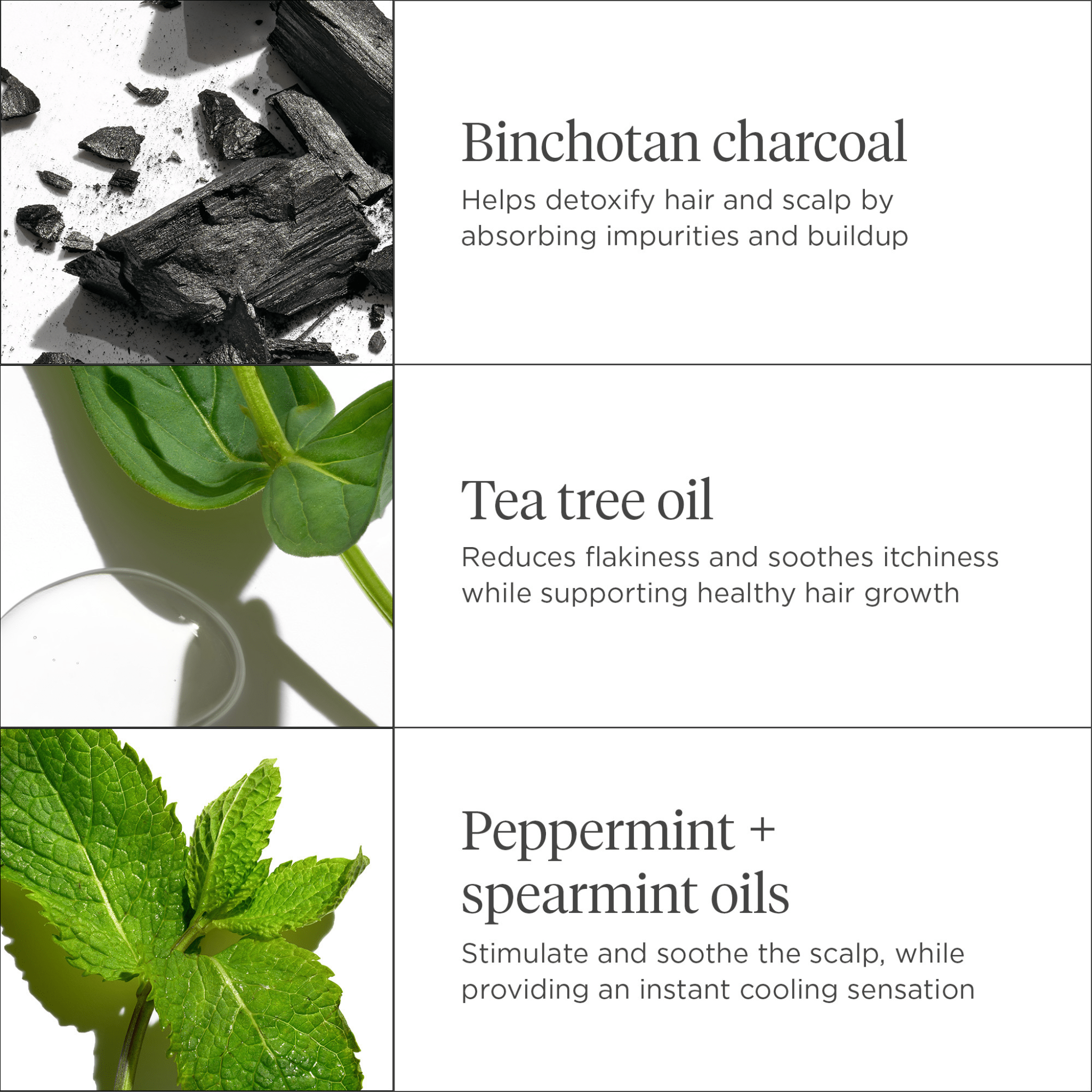 Briogeo. Masque Hydratant et Rafraîchissant Charbon et Arbre à Thé Scalp Revival - 177 ml - Concept C. Shop