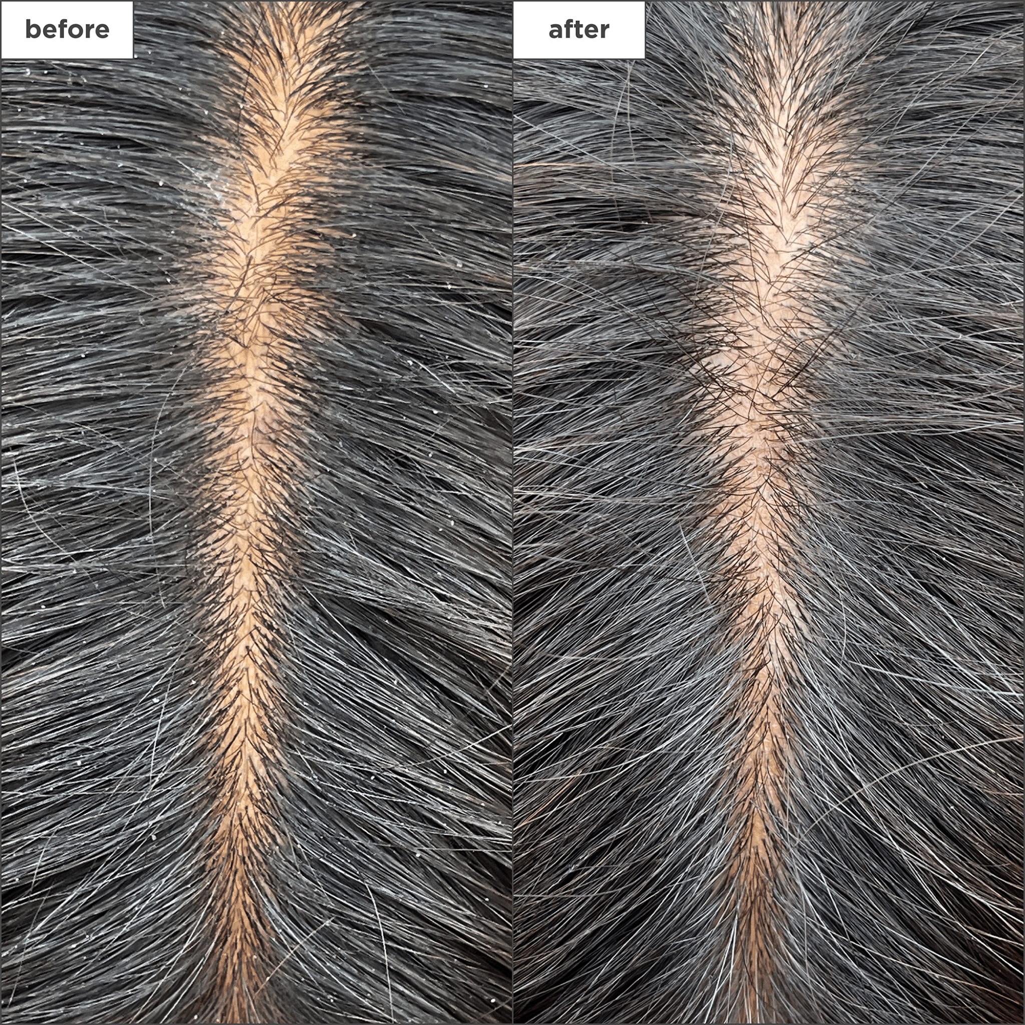 Briogeo. Masque Hydratant et Rafraîchissant Charbon et Arbre à Thé Scalp Revival - 177 ml - Concept C. Shop