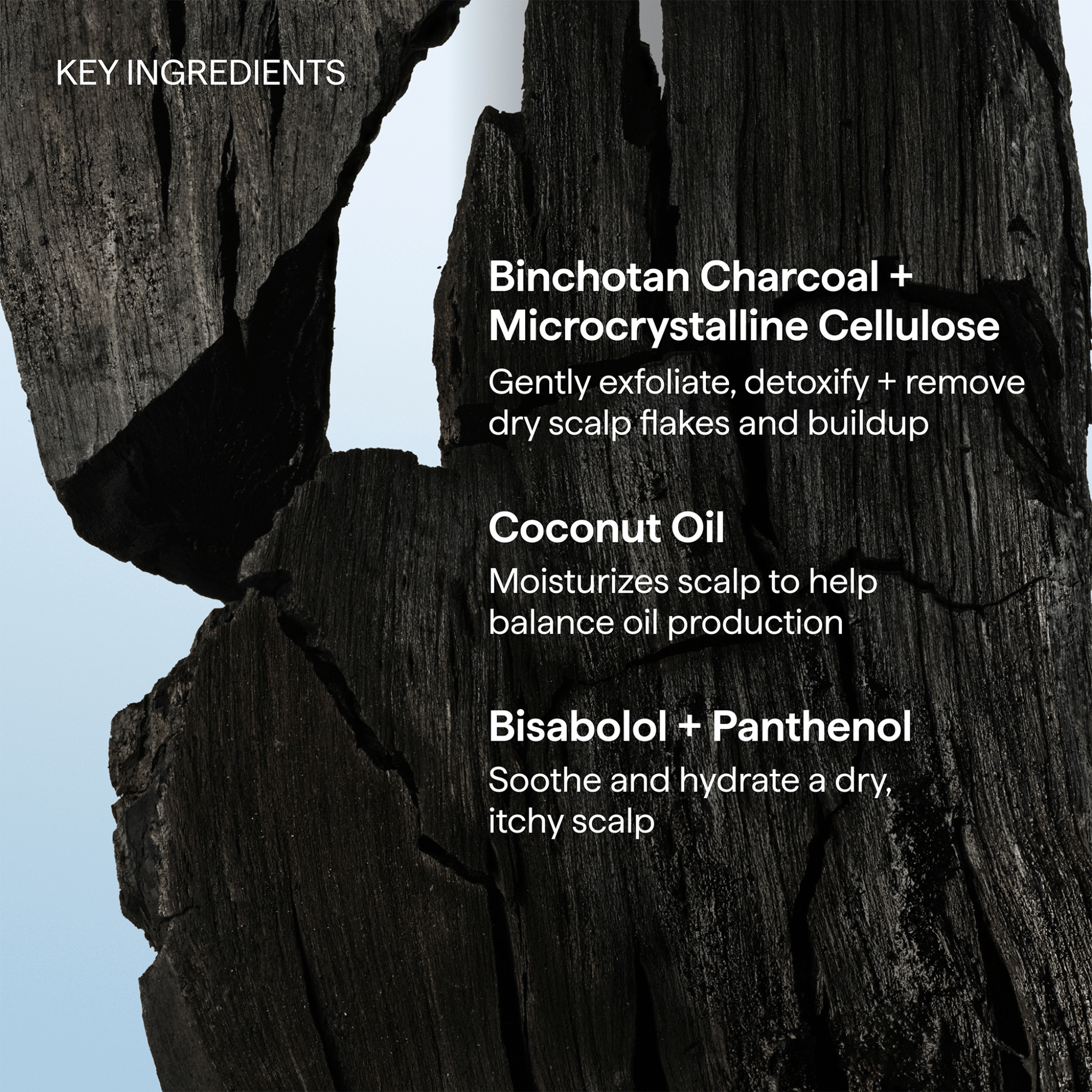 Briogeo. Shampoing Micro - Exfoliant Charbon et Huile de Coco Scalp Revival - 946 ml - Concept C. Shop