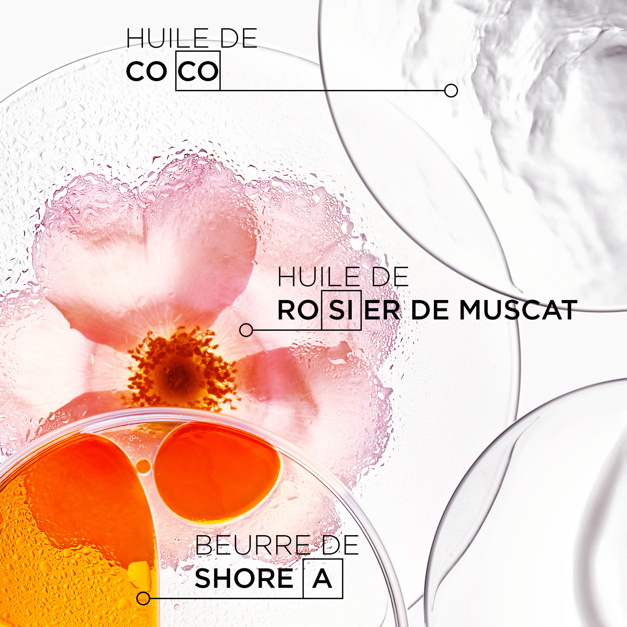 Kérastase. Discipline Shampoing Bain Oléo - Relax - 250 ml - Concept C. Shop