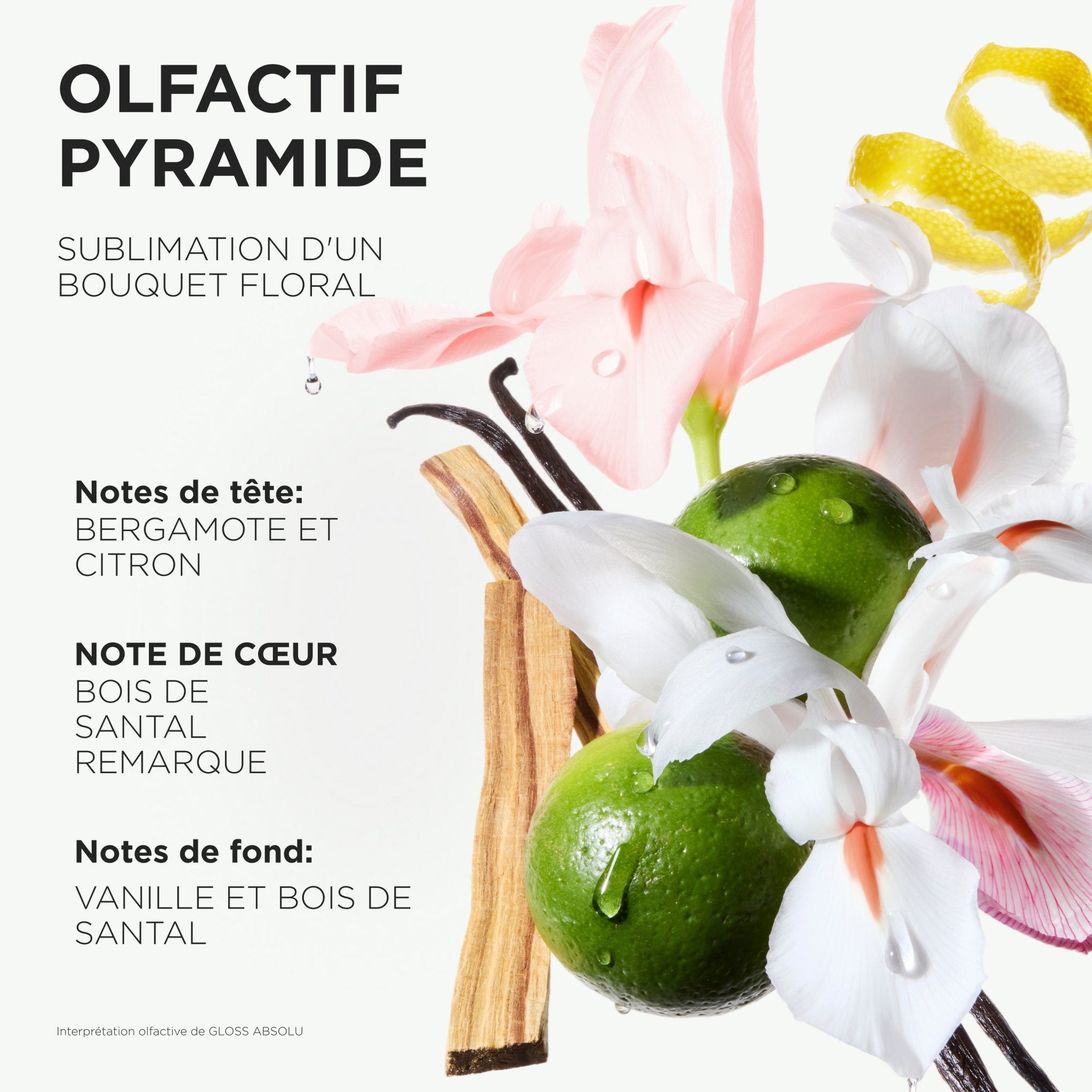 Kérastase. Gloss Absolu Frizz - Glaze Cream Format Voyage - 45 ml - Concept C. Shop