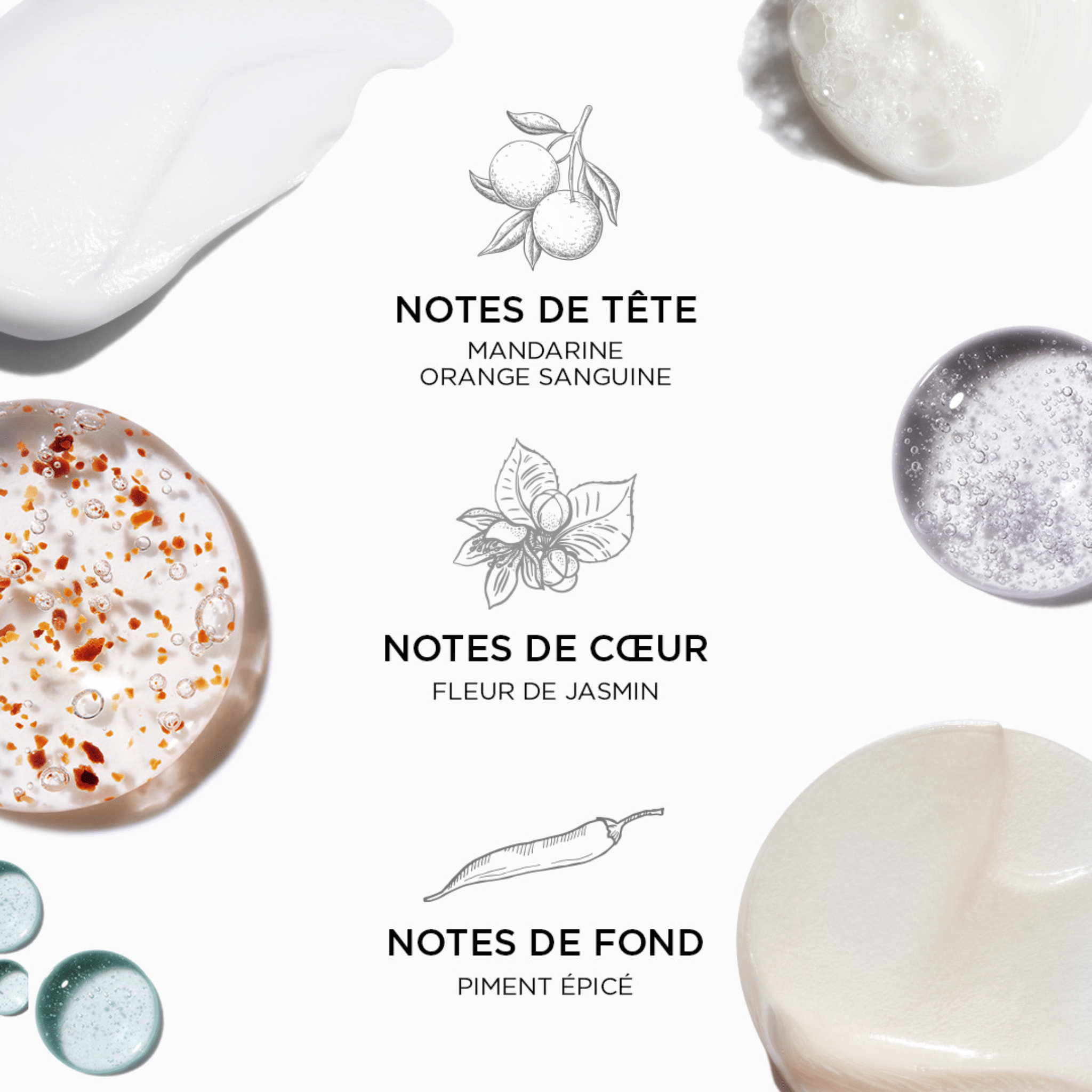 Kérastase. Symbiose Routine Hydratante pour les Cheveux à Tendance Pelliculaire - Concept C. Shop