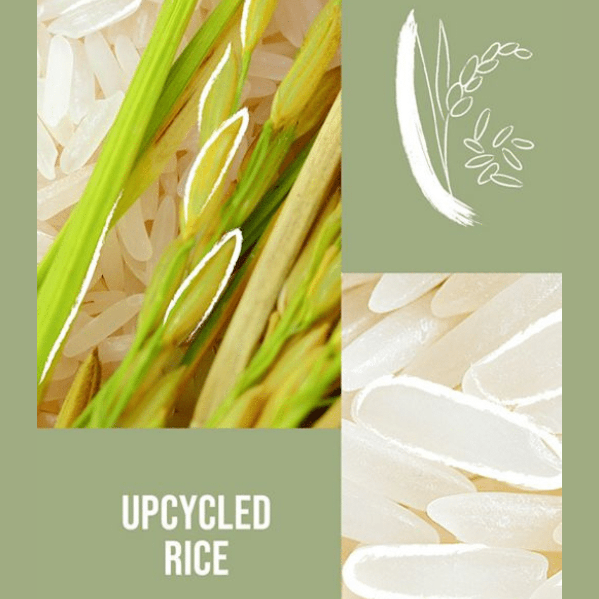 KMS. Mousse Coiffante Volumisante Add Volume - 300 ml - Concept C. Shop