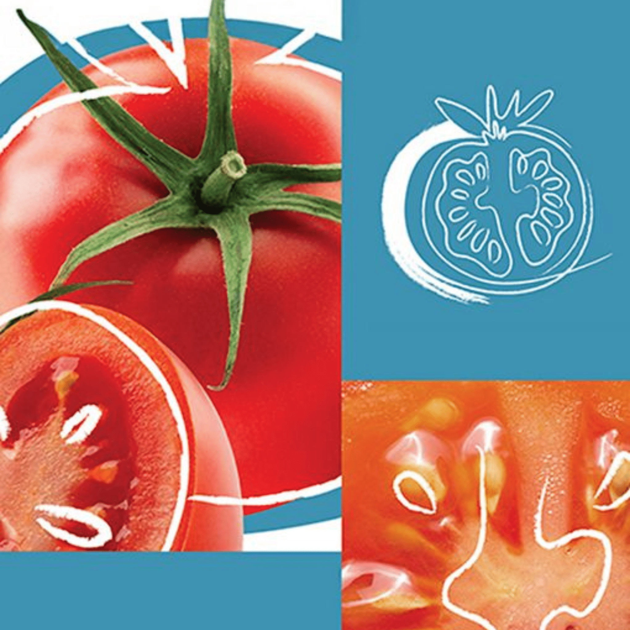 KMS. Spray De Finition Fort Hairstay - 230 g - Concept C. Shop