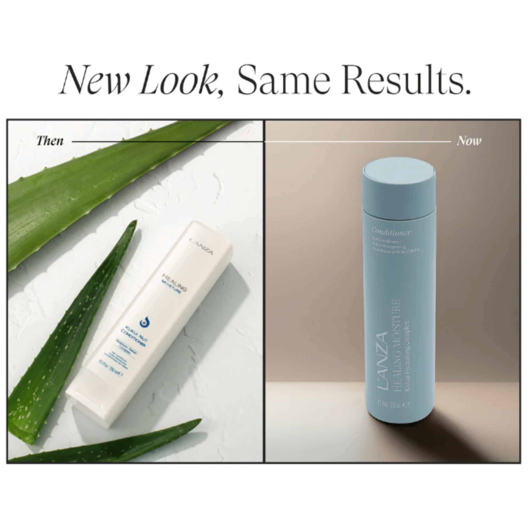 L'Anza. Healing Moisture Revitalisant Complexe Hydratant Au Kukui - 250 ml - Concept C. Shop
