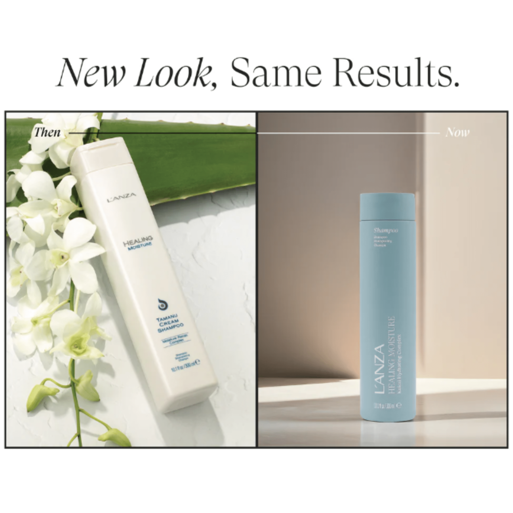 L'Anza. Healing Moisture Shampoing Complexe Hydratant Au Kukui - 300 ml - Concept C. Shop