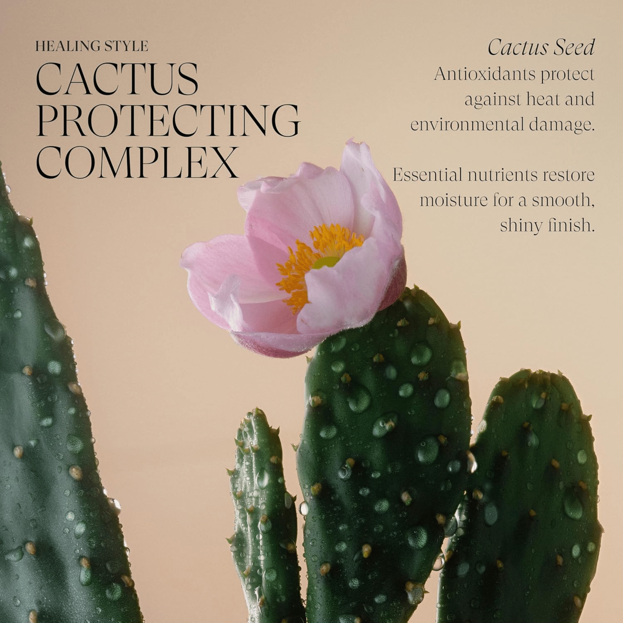 L'Anza. Healing Style Crème Texture Complexe Protecteur Au Cactus - 125 ml - Concept C. Shop