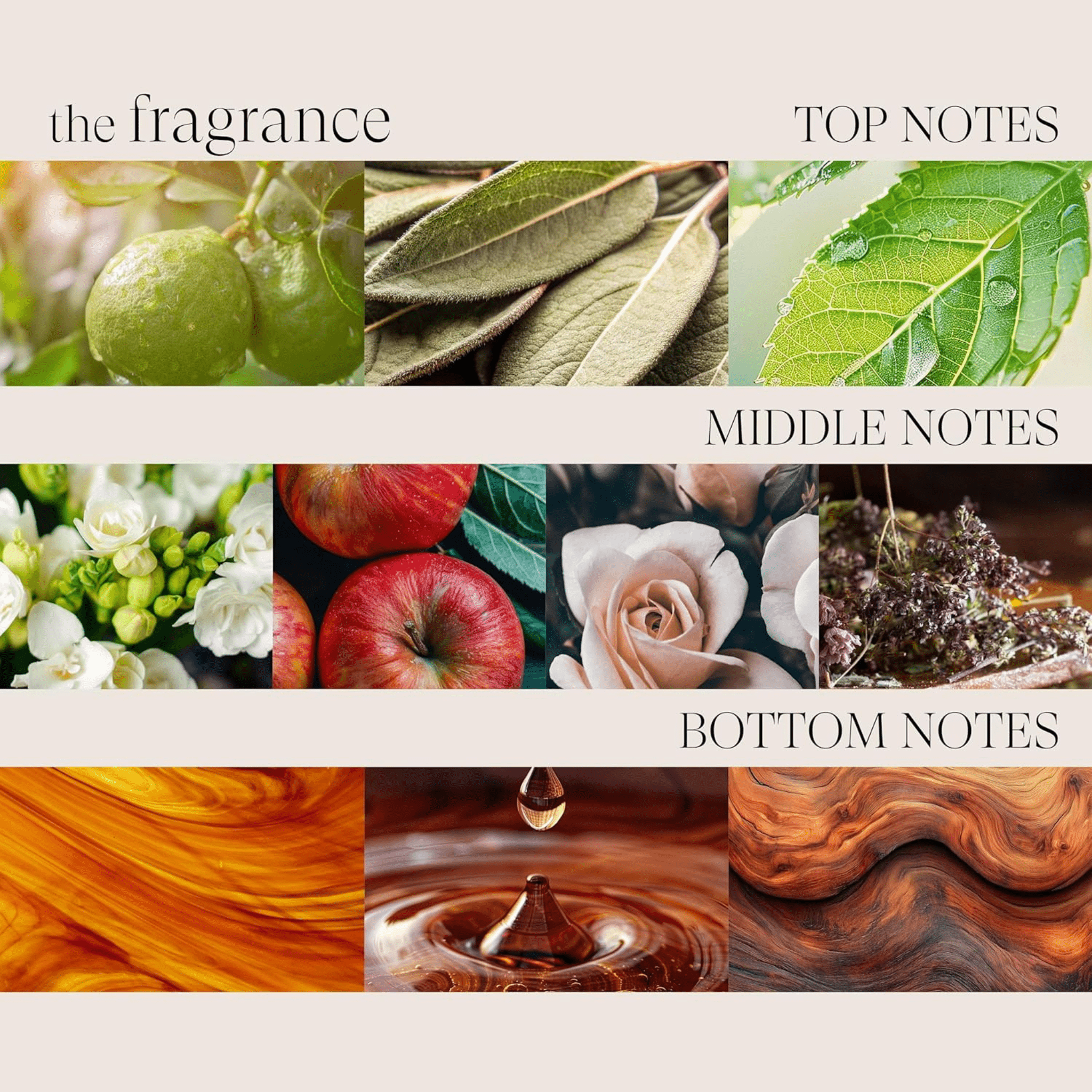 L'Anza. Healing Style Crème Texture Complexe Protecteur Au Cactus - 125 ml - Concept C. Shop