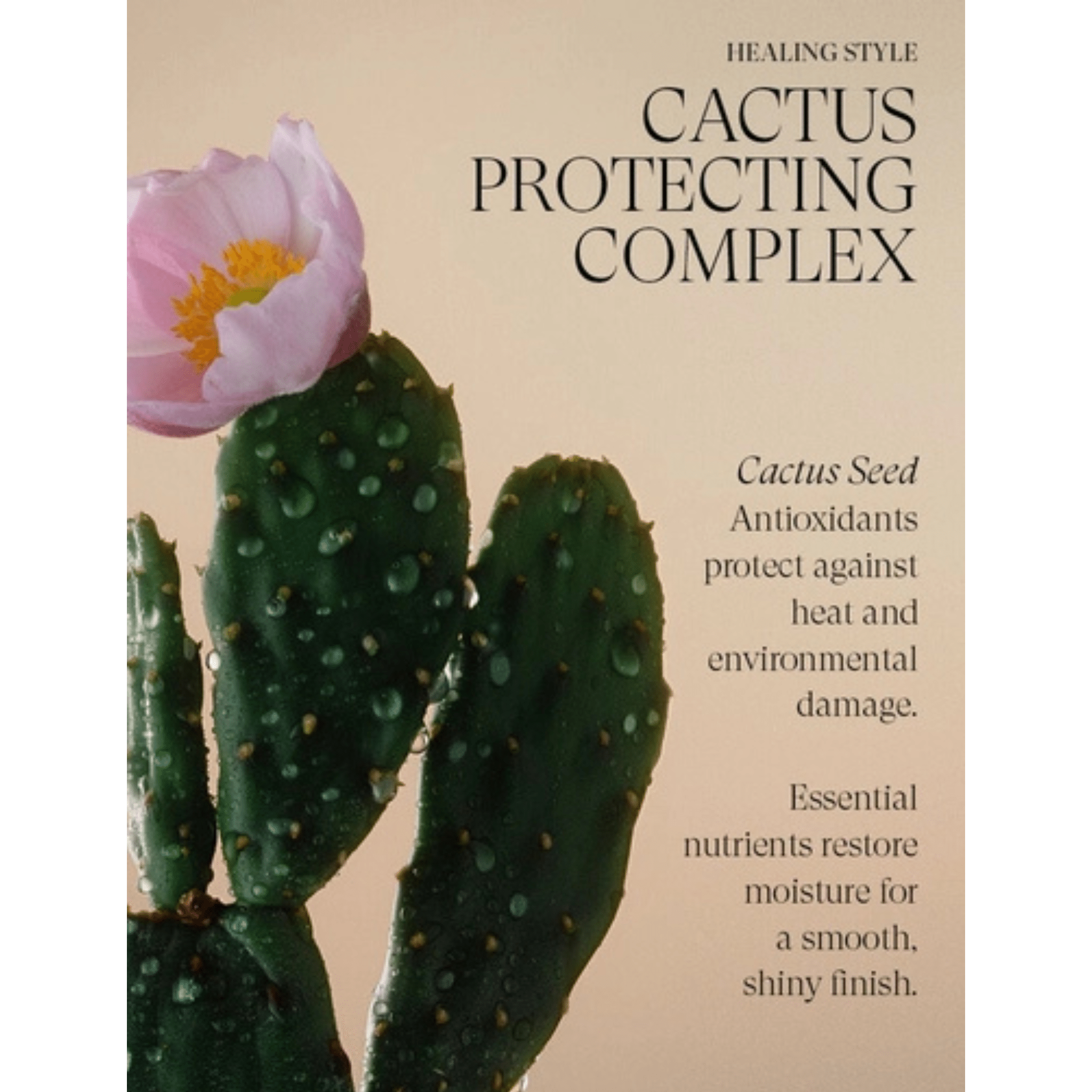 L'Anza. Healing Style Laque De Finition Spray Texture Sèche Complexe Protecteur Au Cactus - 300 ml - Concept C. Shop