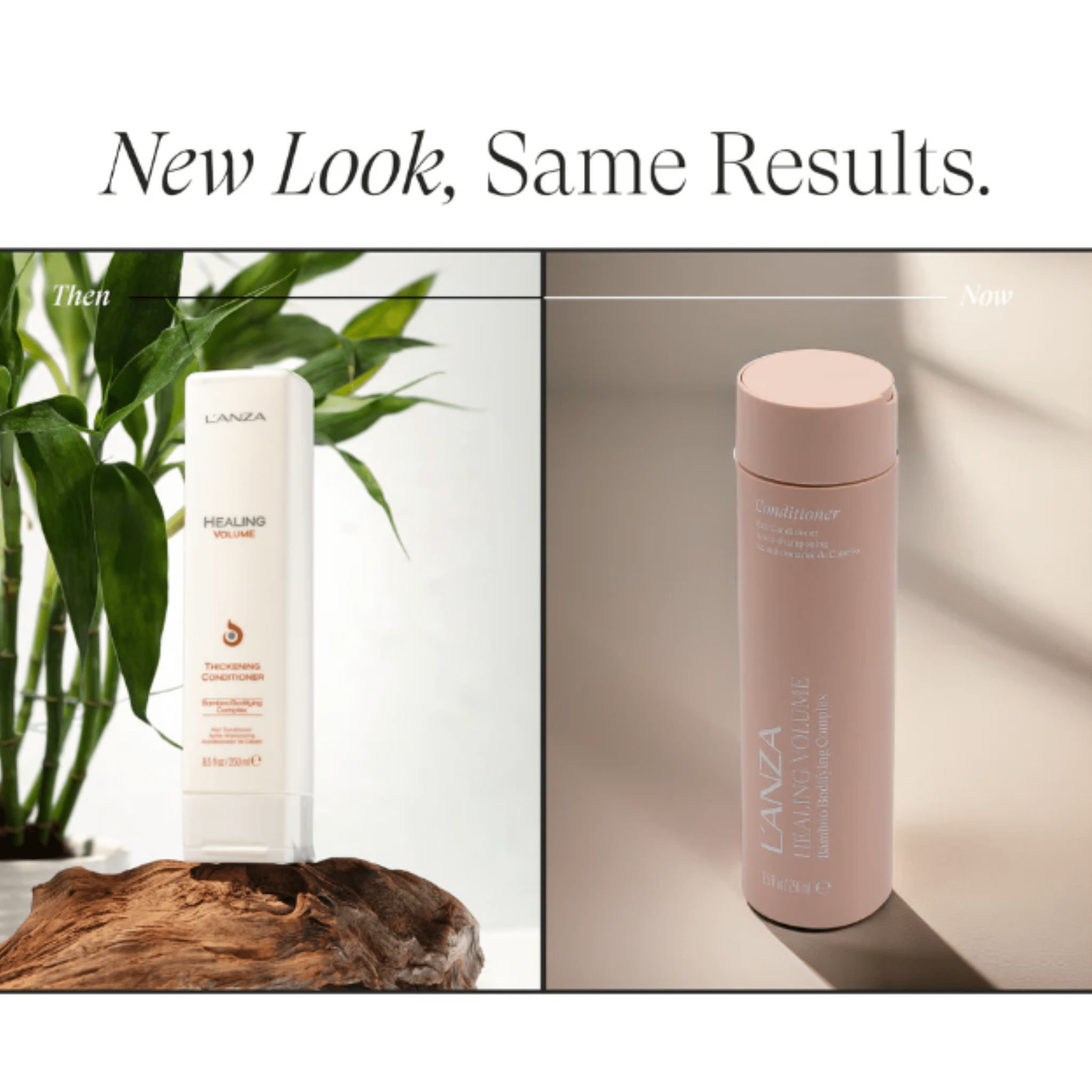 L'Anza. Healing Volume Revitalisant Complexe Volumisant Au Bamboo - 250 ml - Concept C. Shop