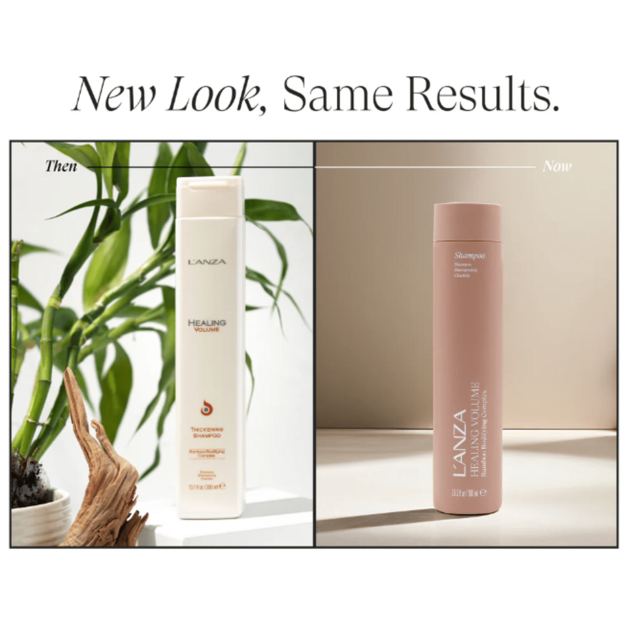 L'Anza. Healing Volume Shampoing Complexe Volumisant Au Bamboo - 950 ml - Concept C. Shop