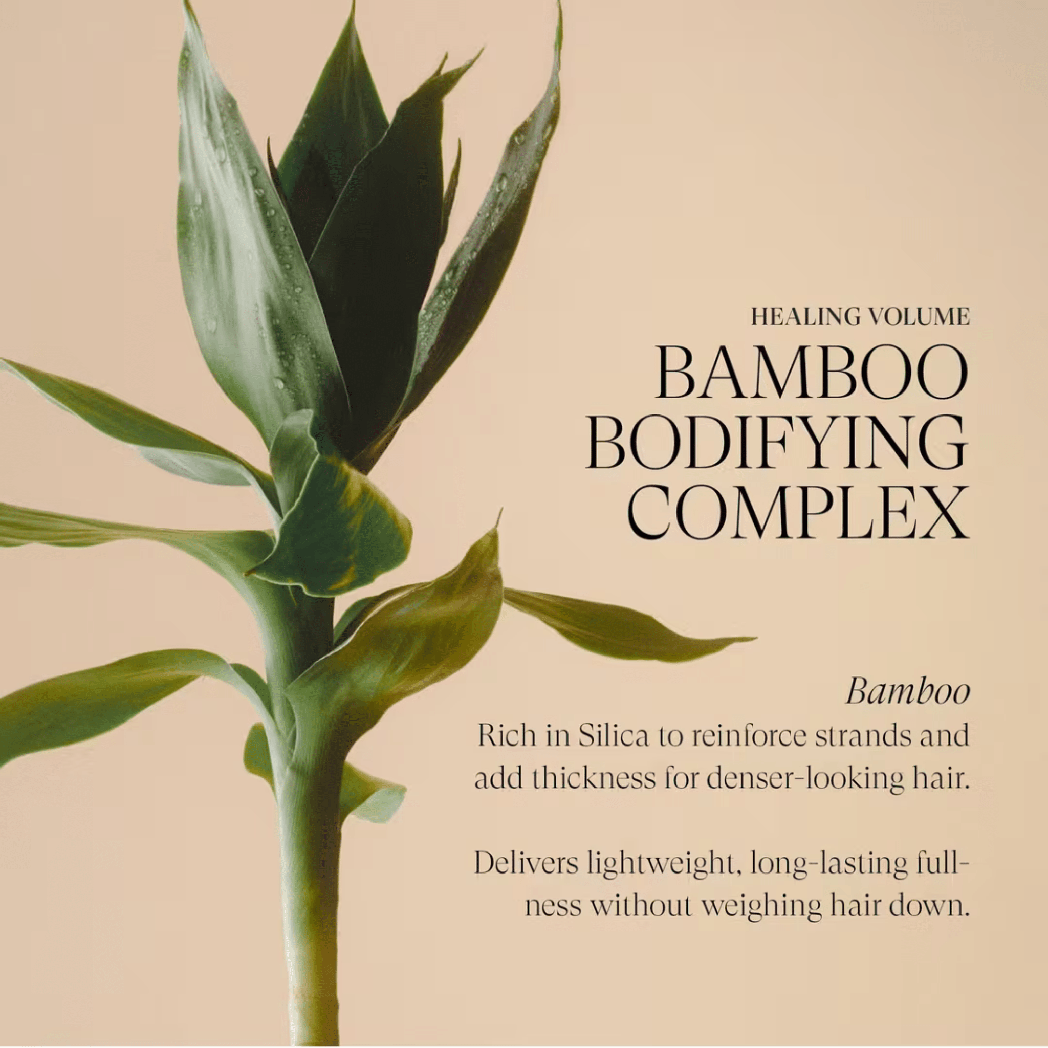 L'Anza. Healing Volume Spray Épaississant Avec Complexe Volumisant Au Bamboo - 100 ml - Concept C. Shop