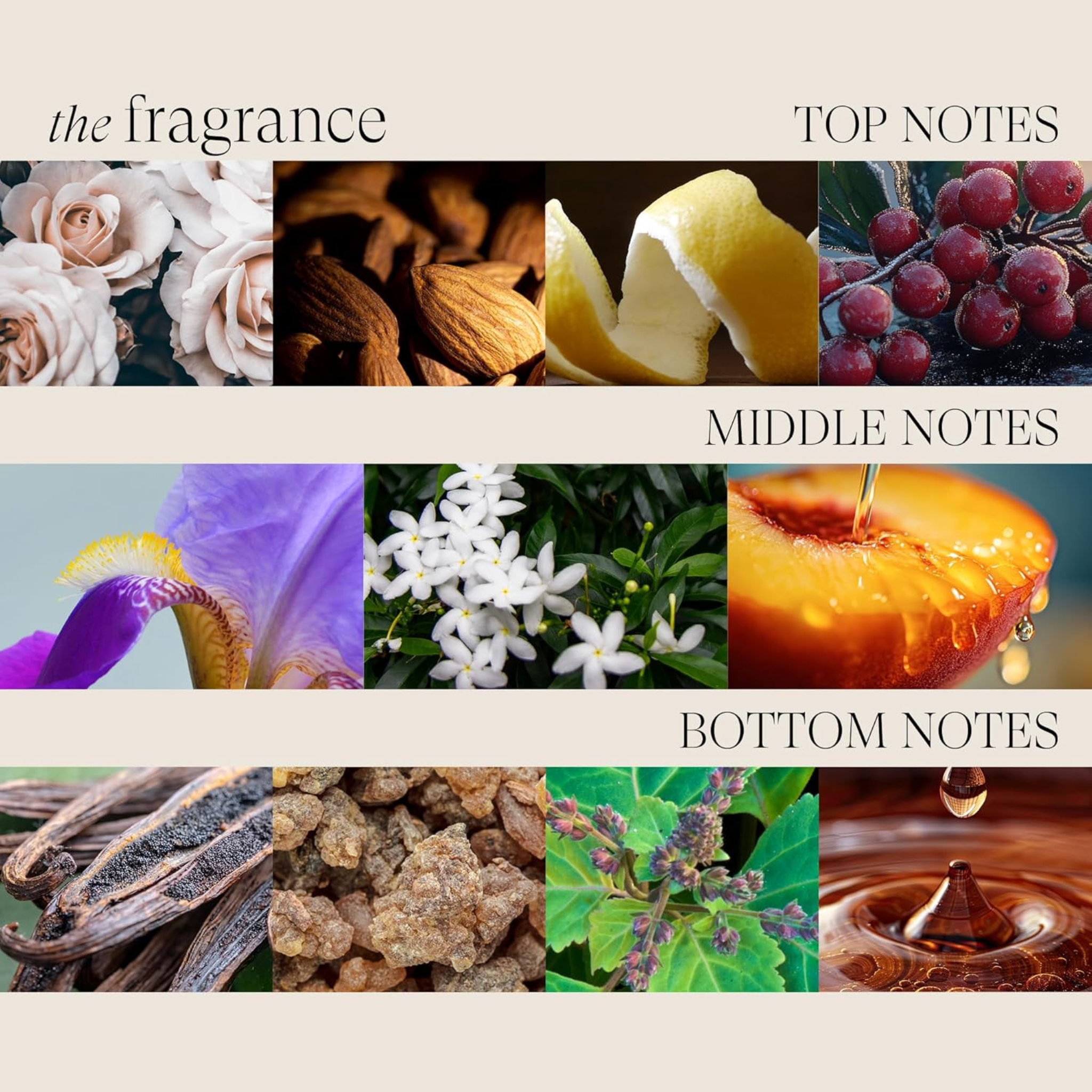 L'Anza. Keratin Healing Oil Laque De Finition - 350 ml - Concept C. Shop