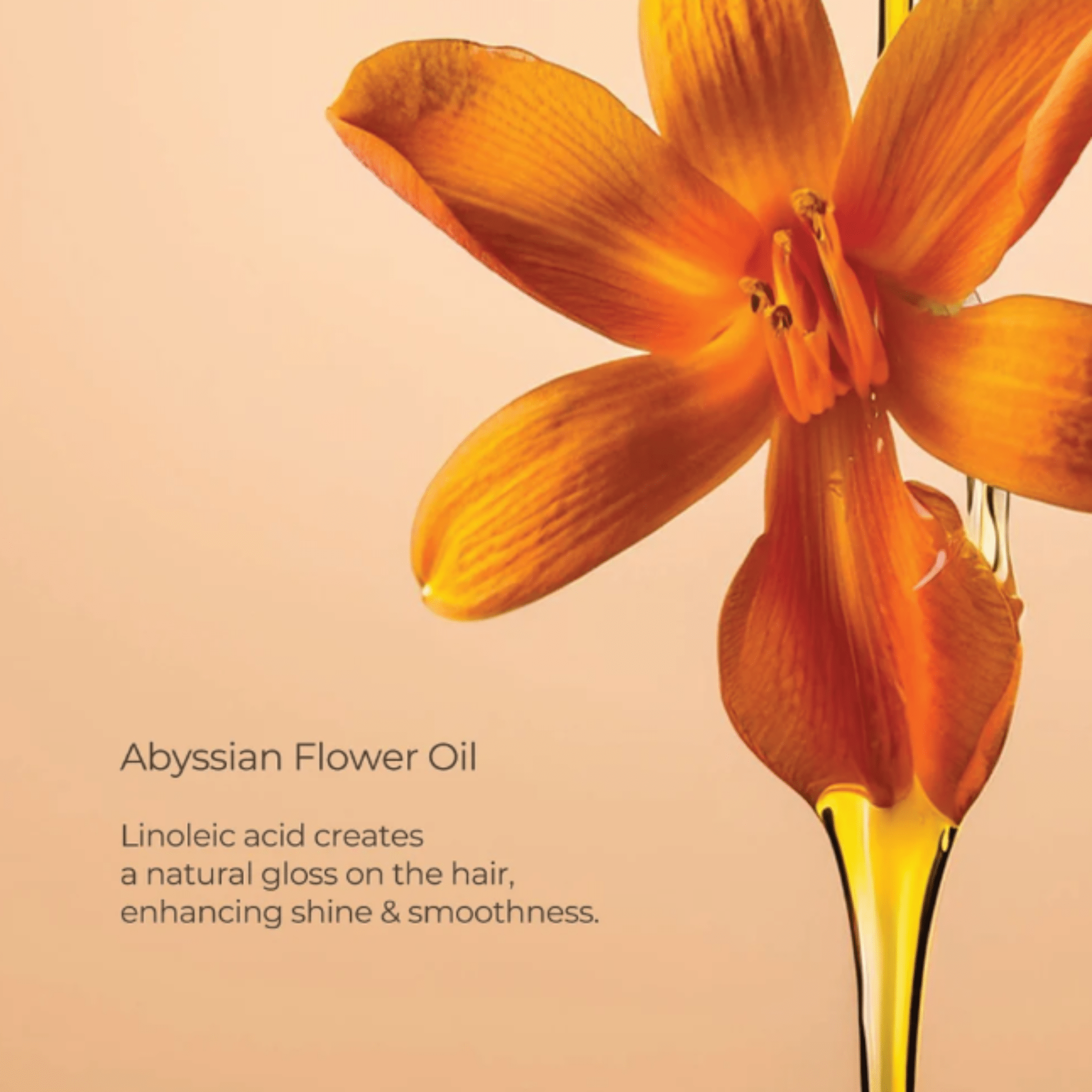 L'Anza. Keratin Healing Oil Revitalisant Complexe Réparateur Phyto - Iv - 950 ml - Concept C. Shop