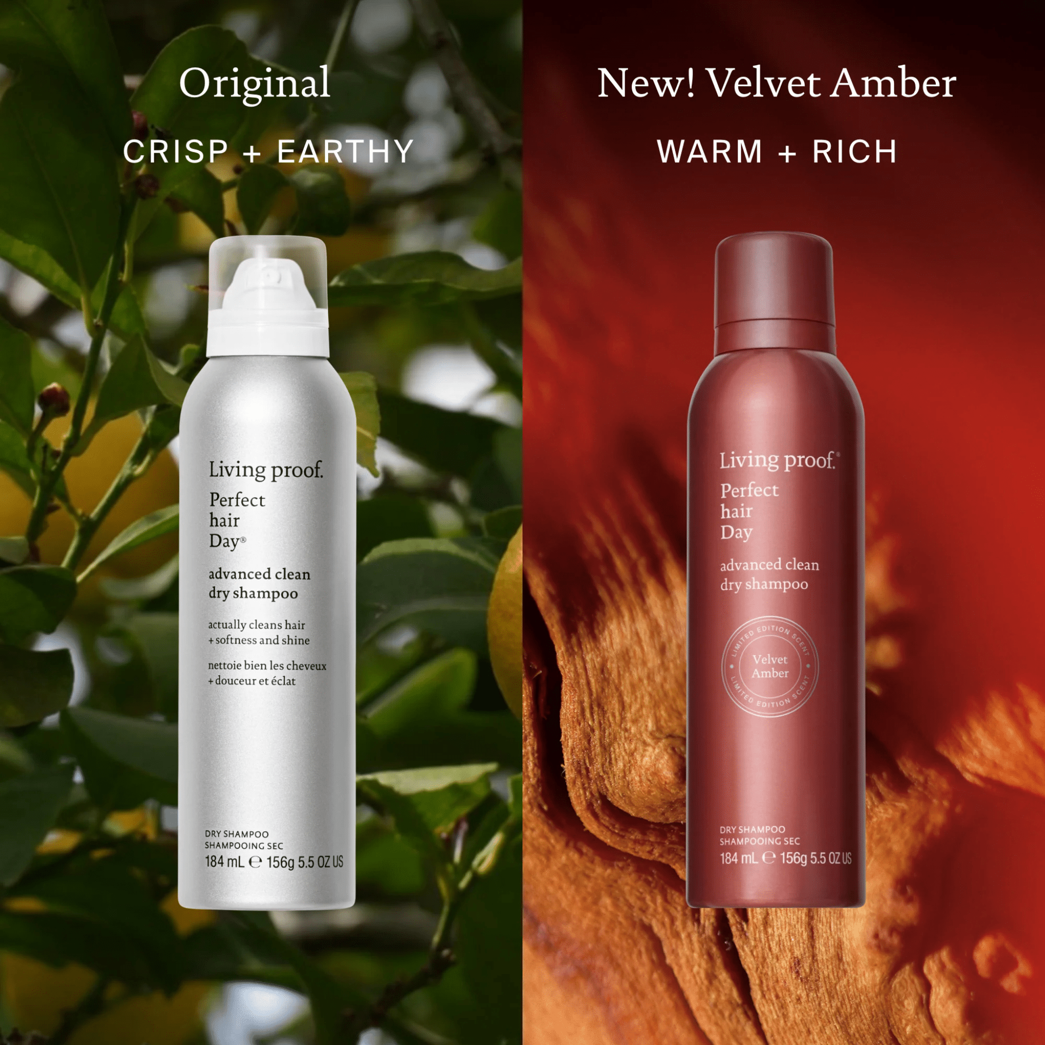 Living Proof. Édition Spéciale Shampoing Sec Advanced Perfect Hair Day Amber Velvet - 184 ml - Concept C. Shop
