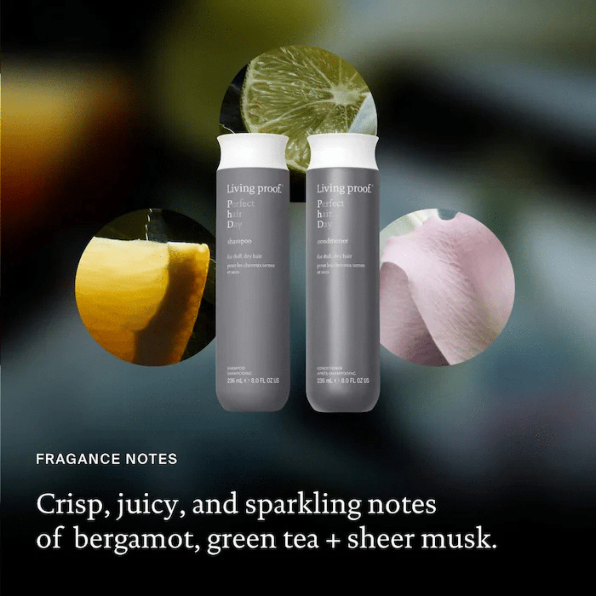 Living Proof. Shampoing Perfect Hair Day - 236 ml - Concept C. Shop