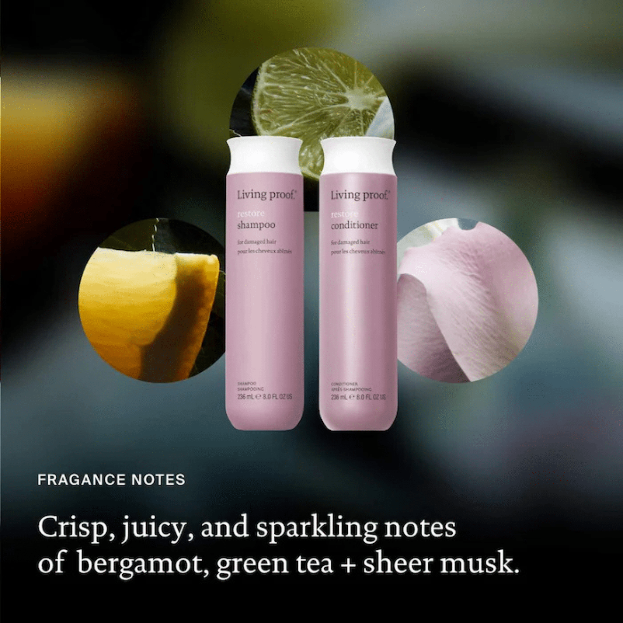 Living Proof. Shampoing Restore - 1000 ml - Concept C. Shop