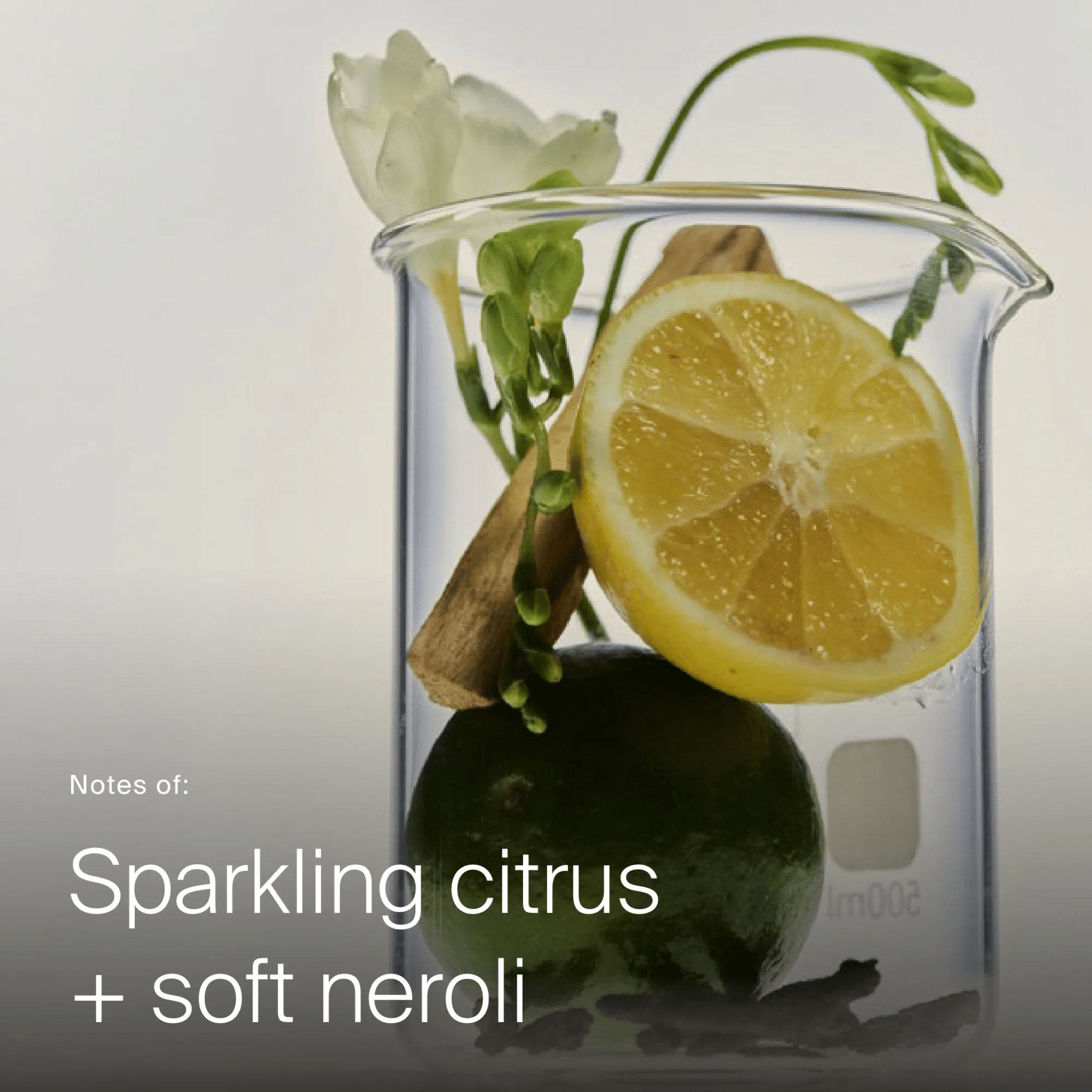 Living Proof. Spray Recoiffant Style Refresh Mist - 148 ml - Concept C. Shop