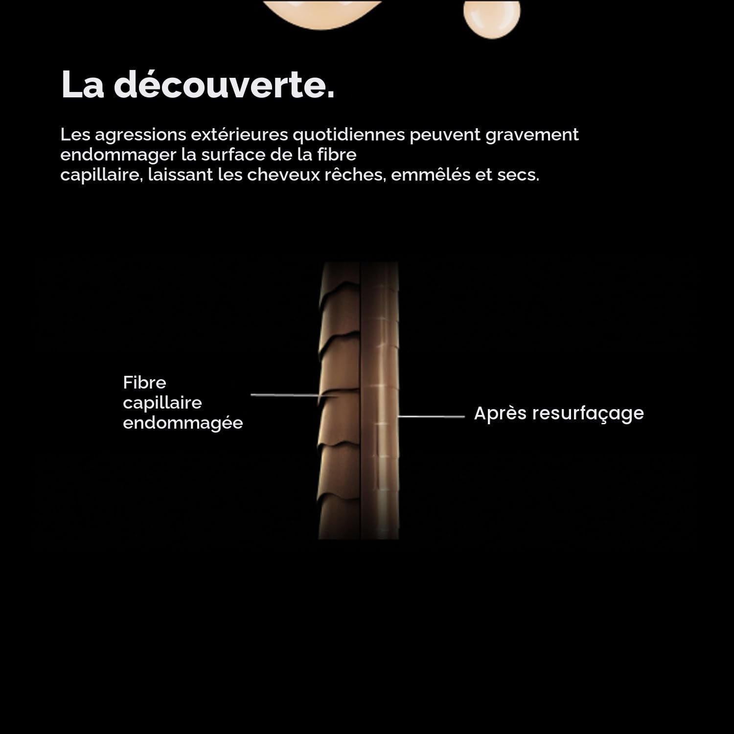 L'Oréal. Duo Absolut Repair - Revitalisant - Concept C. Shop