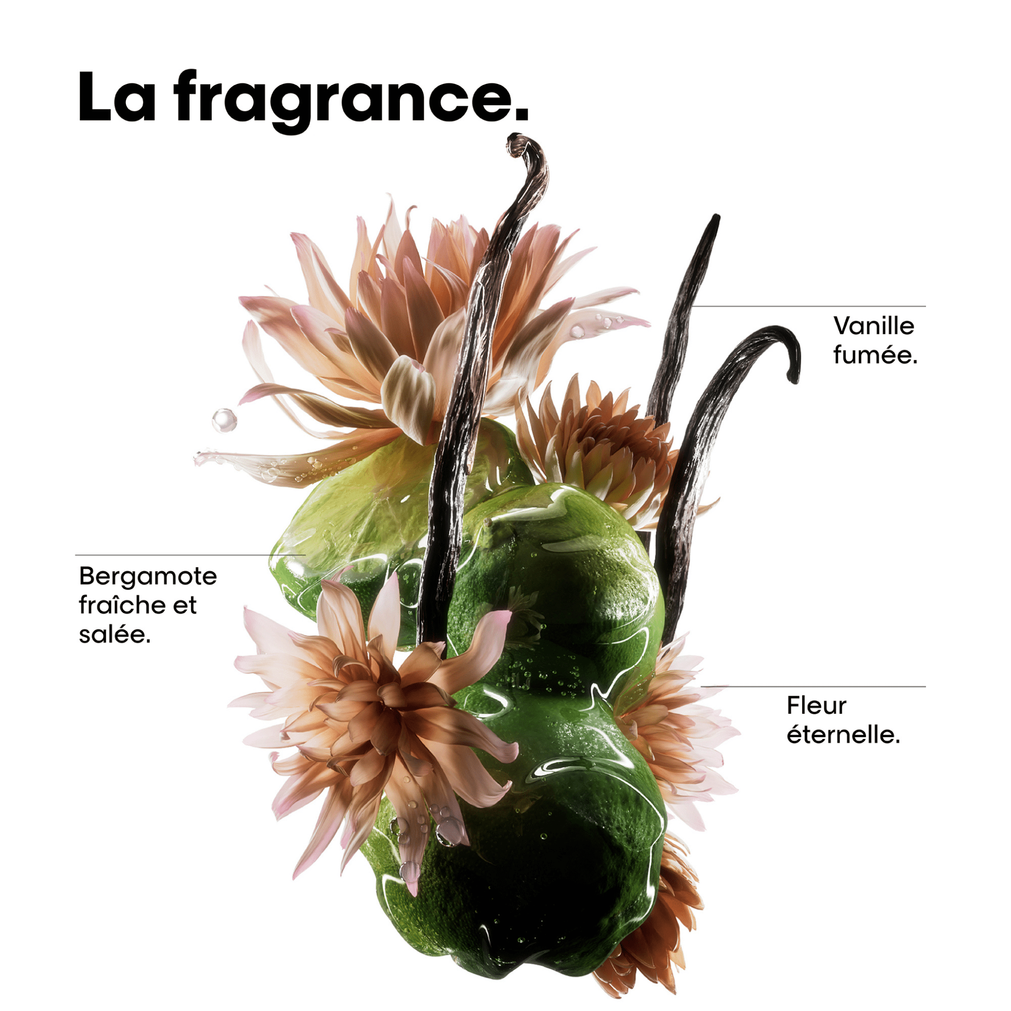 L'Oréal. Série Expert Coffret Des Fêtes Absolut Repair Molecular (Lancement 1er Septembre 2025) - Concept C. Shop