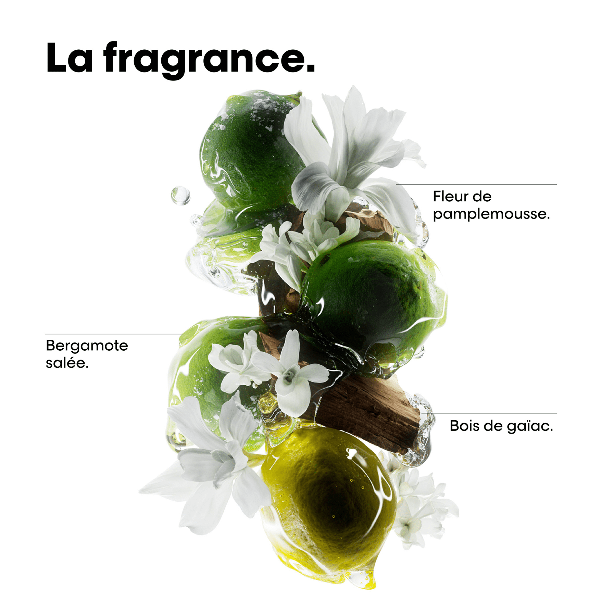L'Oréal. Série Expert Coffret Des Fêtes Metal Detox (Lancement 1er Septembre 2025) - Concept C. Shop