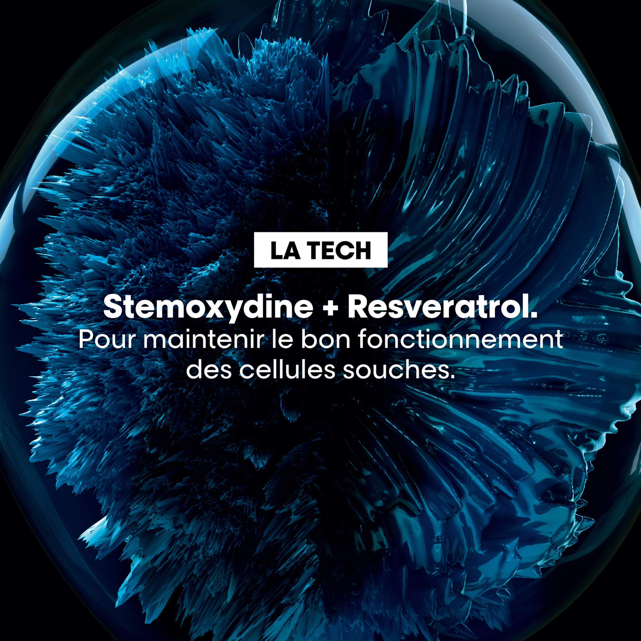 L'Oréal. Série Expert Coffret Des Fêtes Serioxyl Advanced (Lancement 1er Septembre 2025) - Concept C. Shop