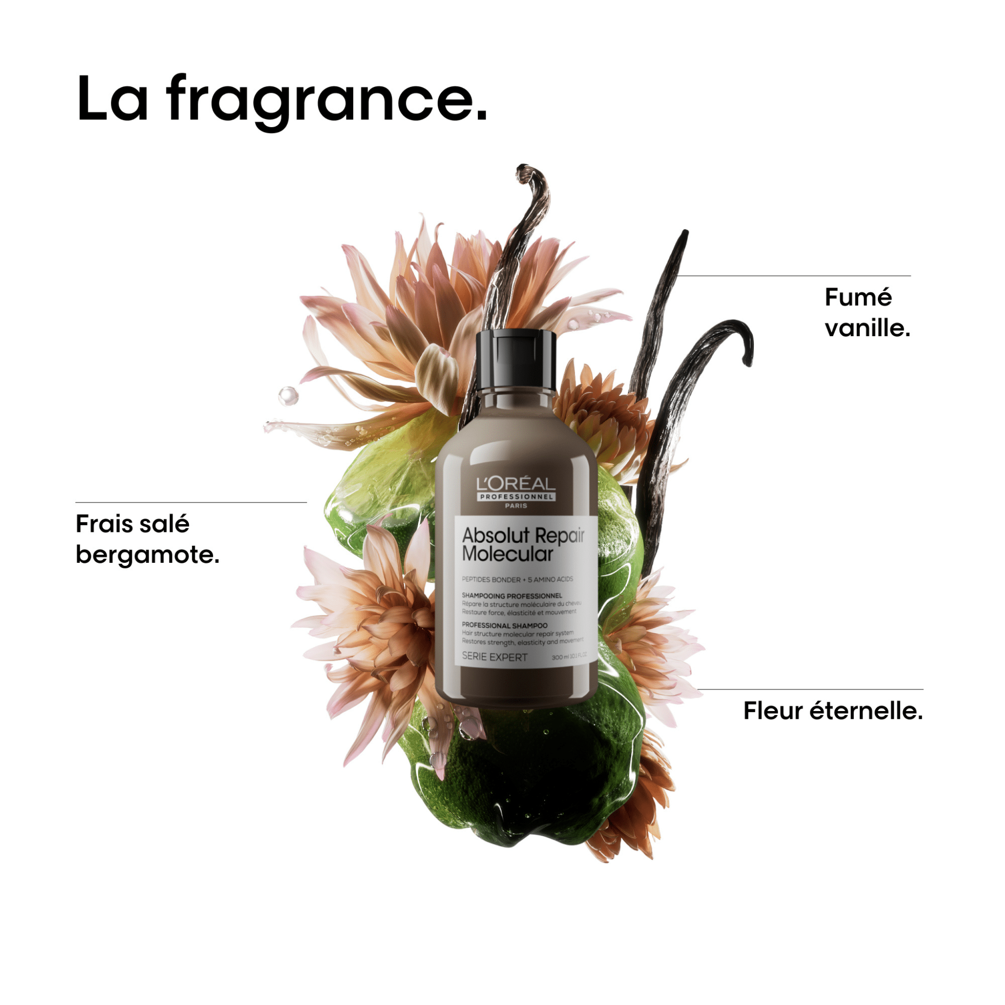 L'Oréal. Série Expert Coffret Du Printemps - Absolut Repair Molecular - Concept C. Shop