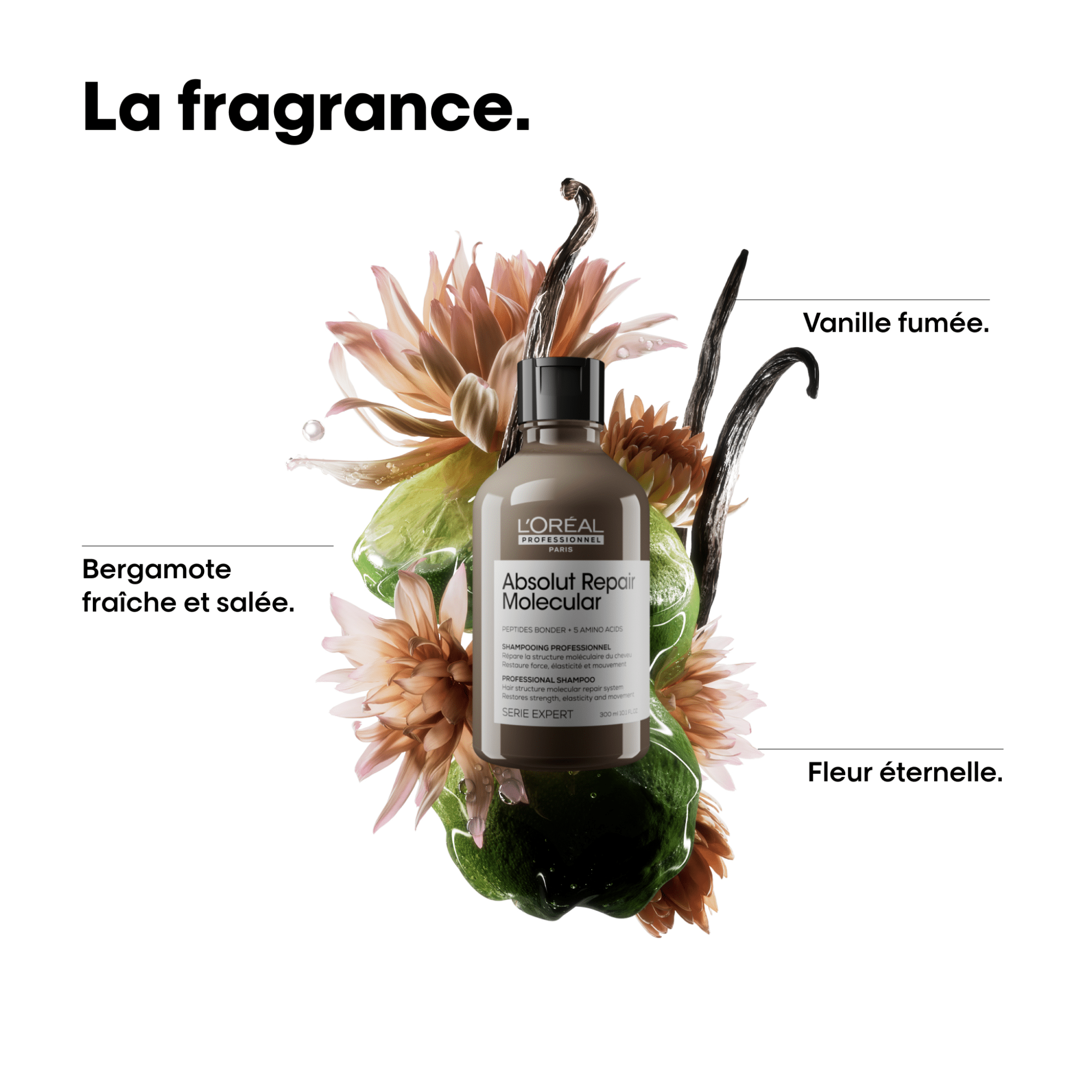 L'Oréal. Série Expert Shampoing Absolut Repair Molecular (Recharge) - 500 ml - Concept C. Shop