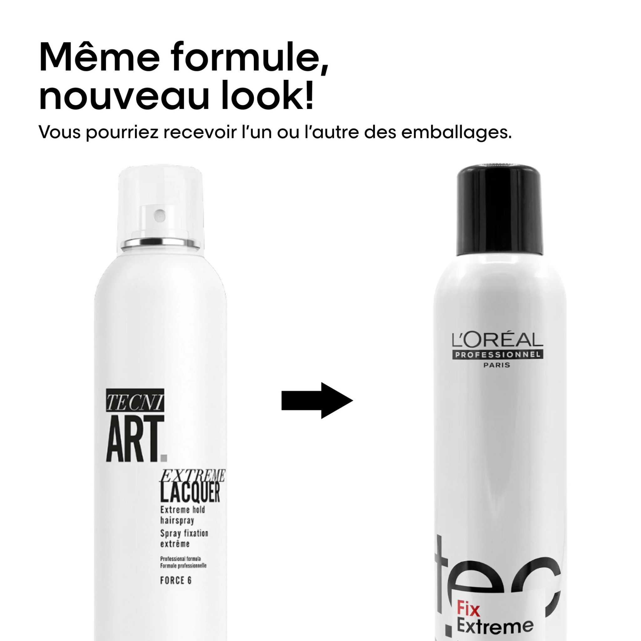 L'Oréal. Tecni.Art Fix Laque Tenue Extra - Forte Fix Extreme - 289 g - Concept C. Shop