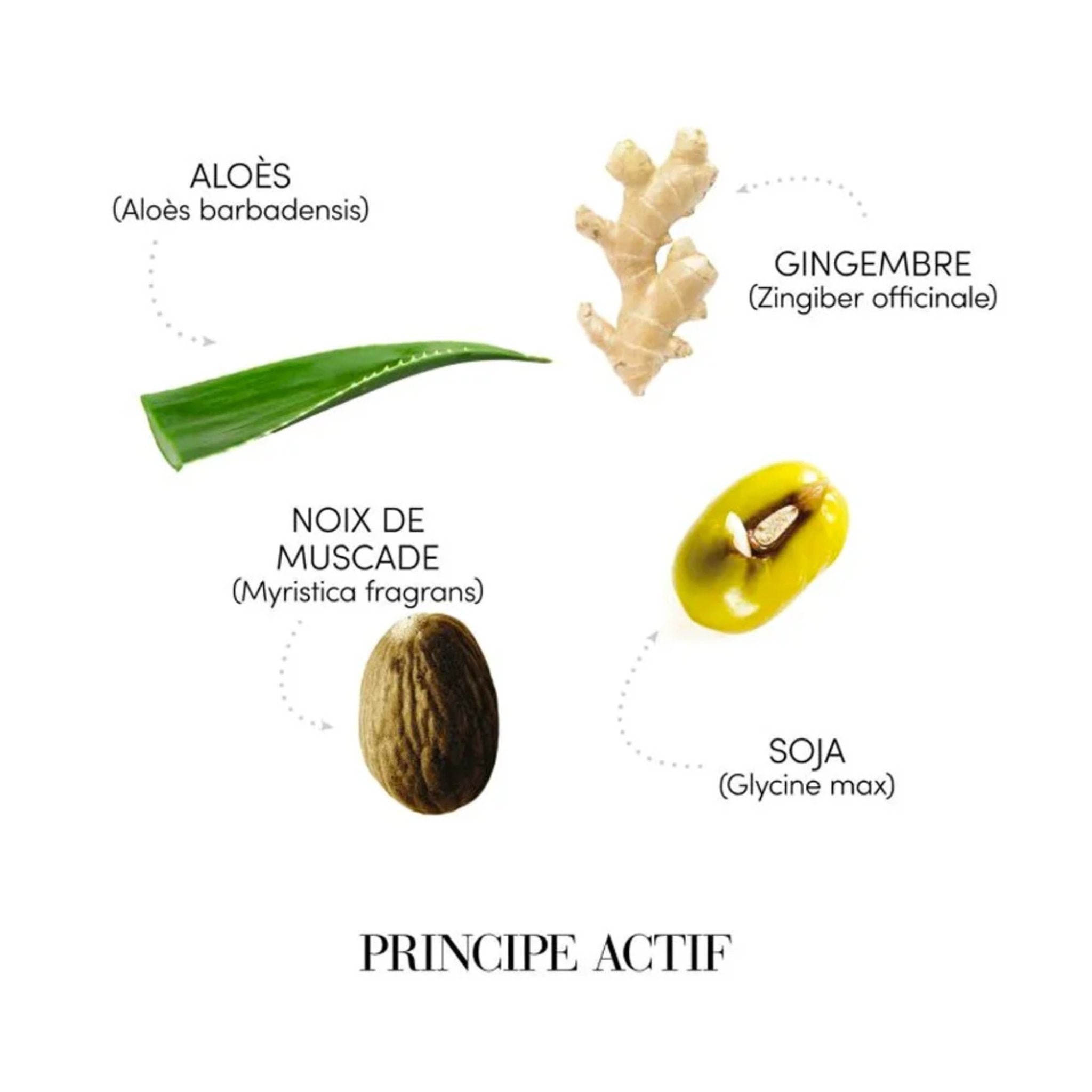 Medavita. Shampoing Sébo-Équilibrant Requilibre - 1000 ml - Concept C. Shop
