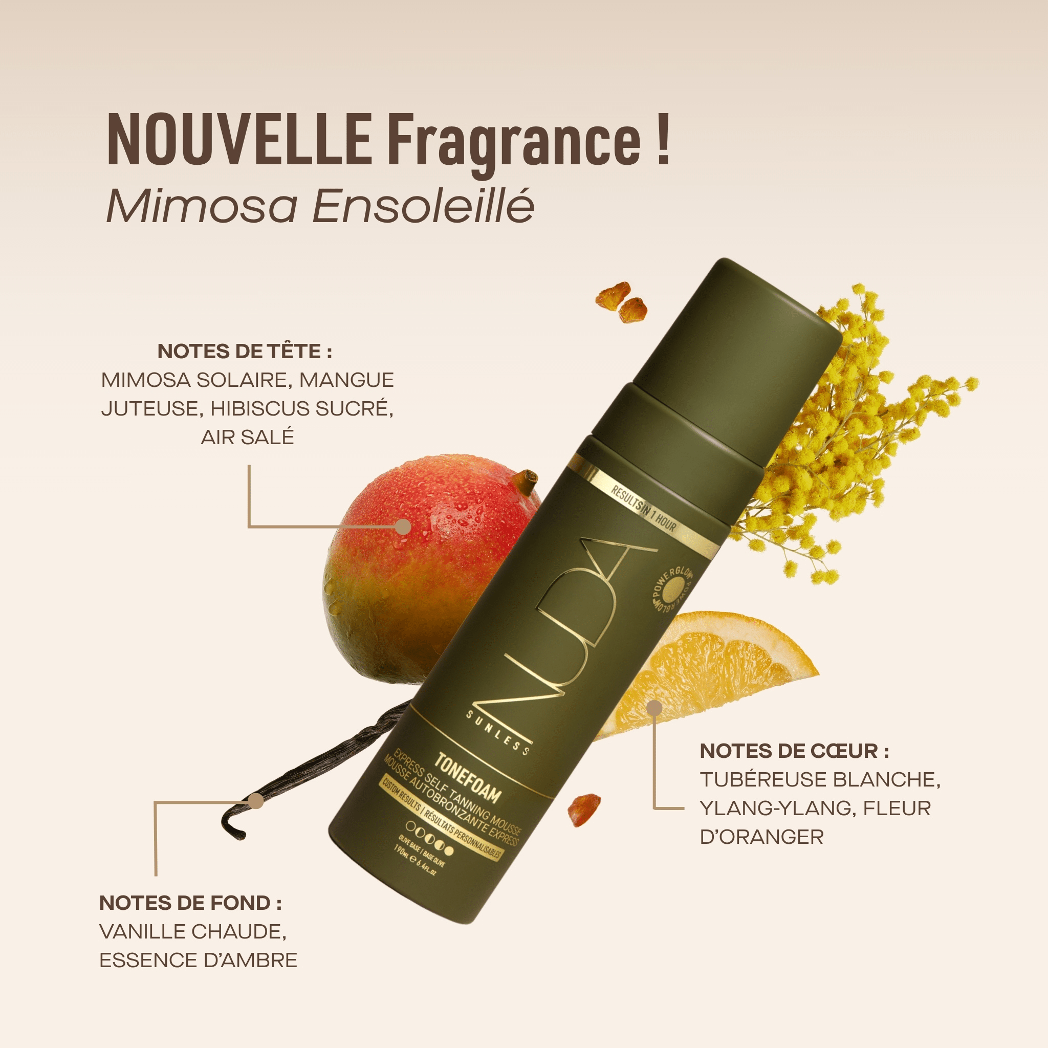 Nuda. Mousse Autobronzante Express Tonefoam - Base Olive - 190 ml - Concept C. Shop