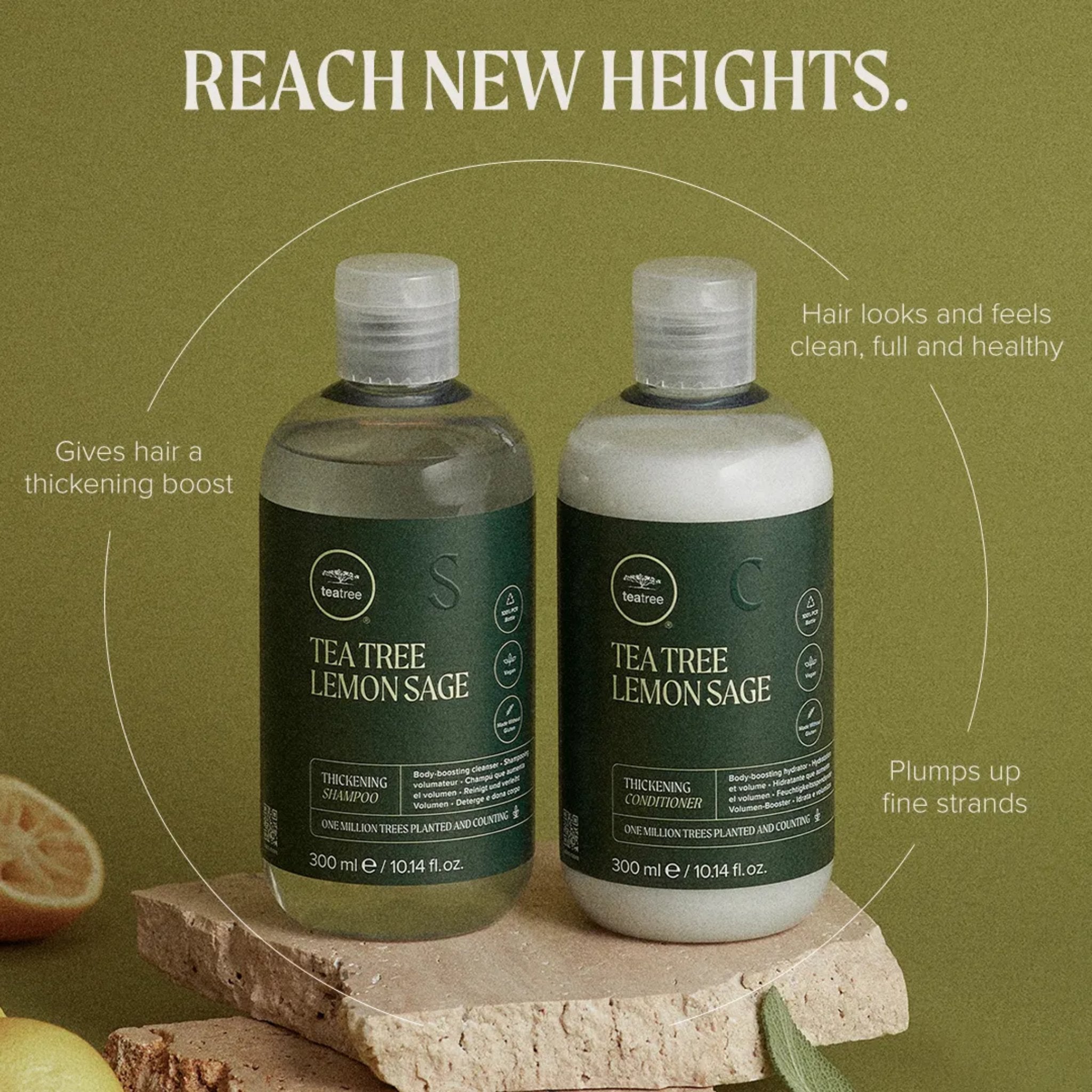 Paul Mitchell. Coffret Des Fêtes Lemon Tree Market - Tea Tree Lemon Sage