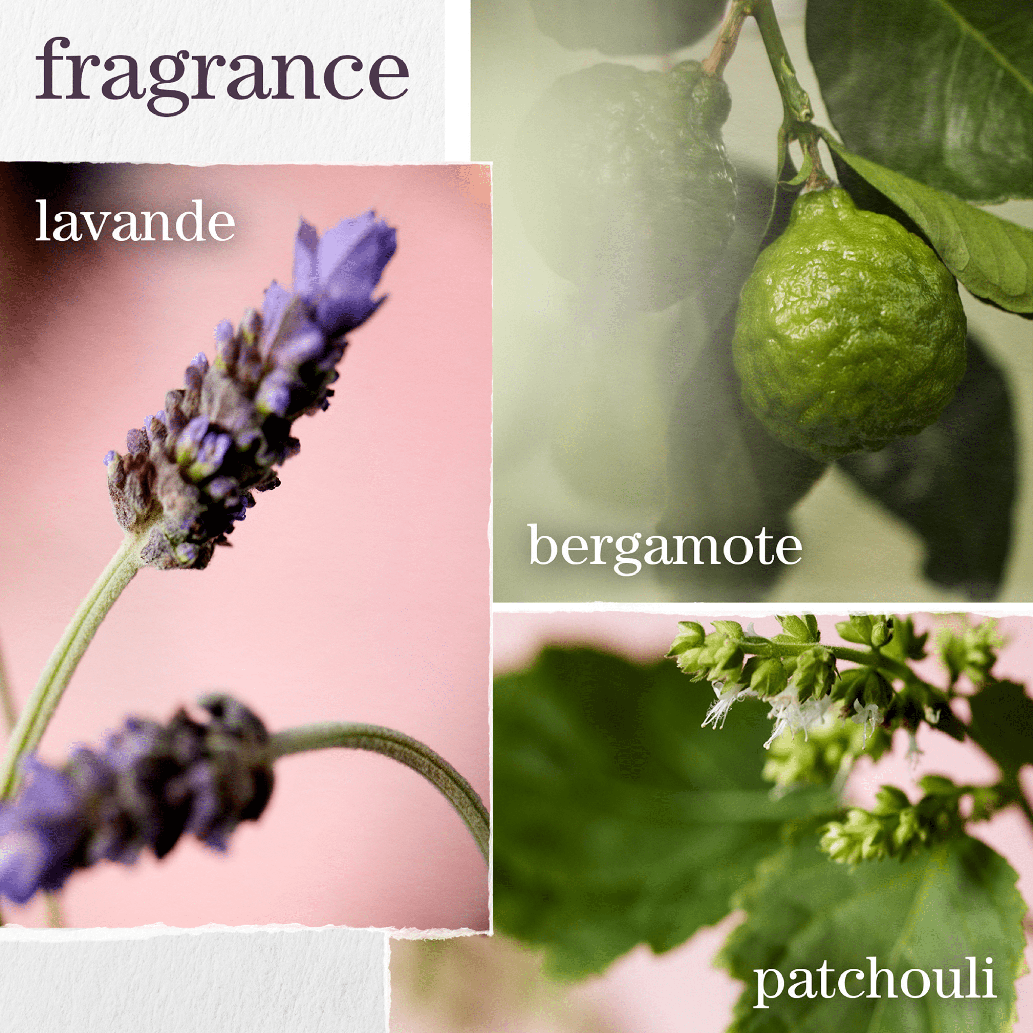 Pureology. Coffret de Printemps Hydrate Sheer - Concept C. Shop